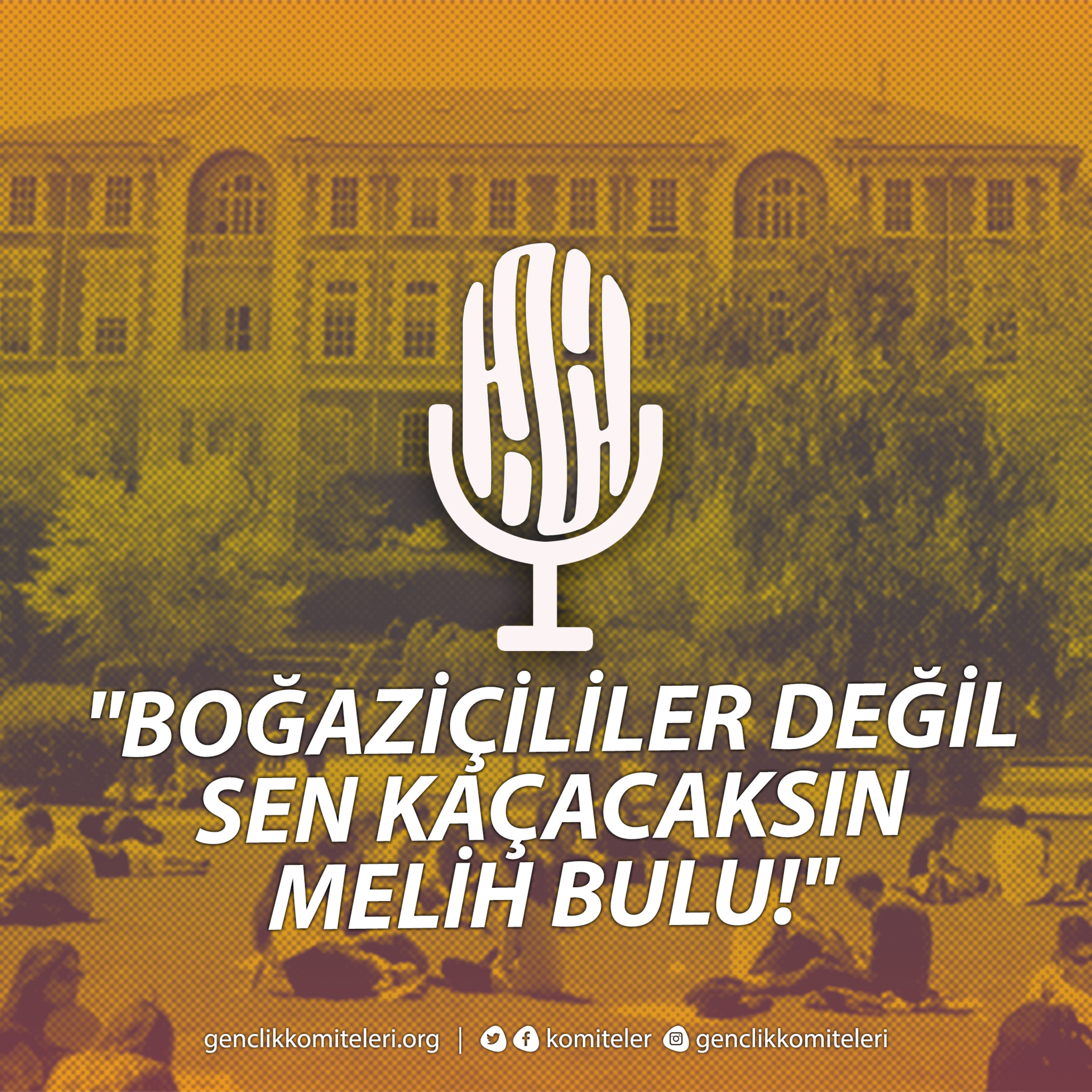 Gençlik Komiteleri