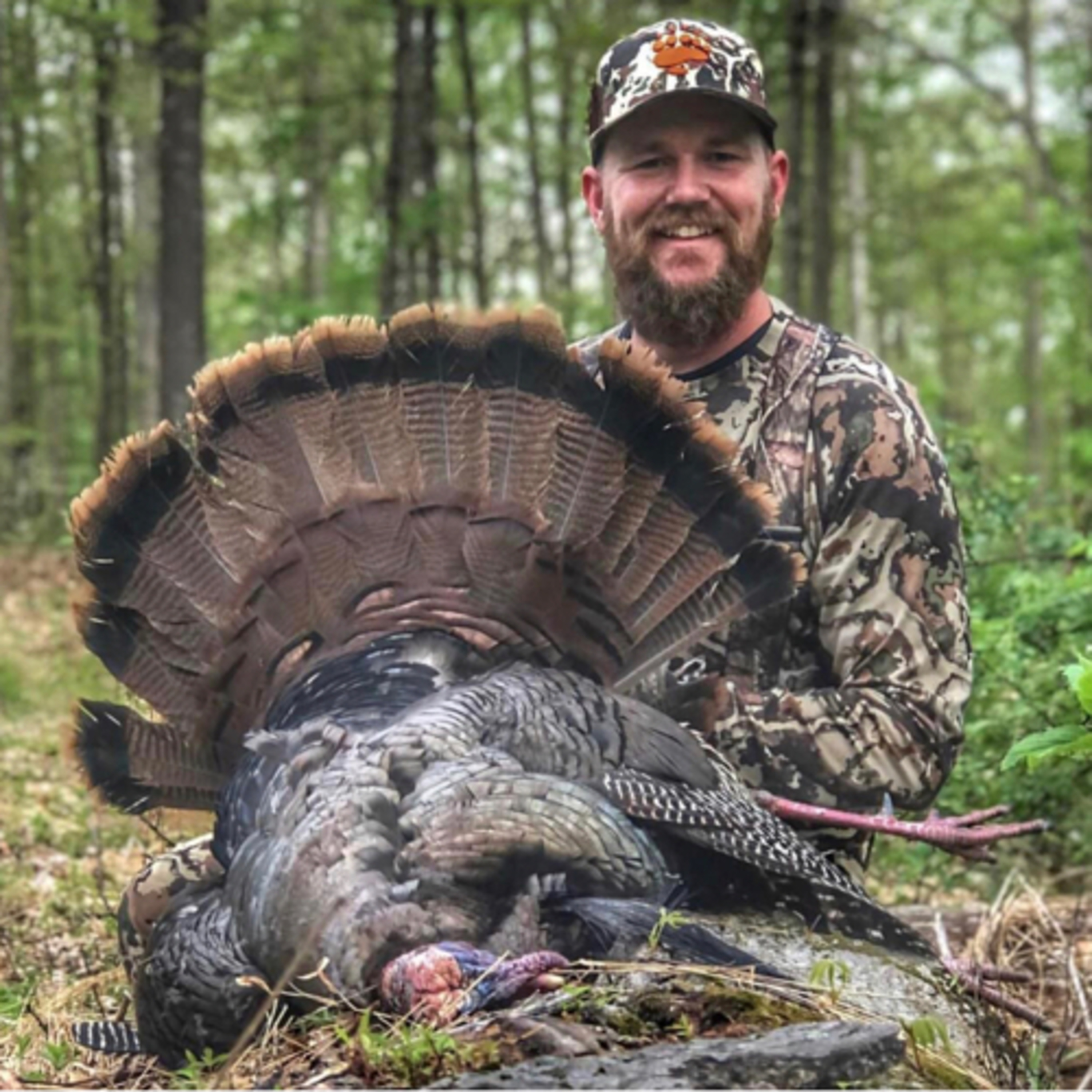 #2 - Wild Turkey Hunting Stories