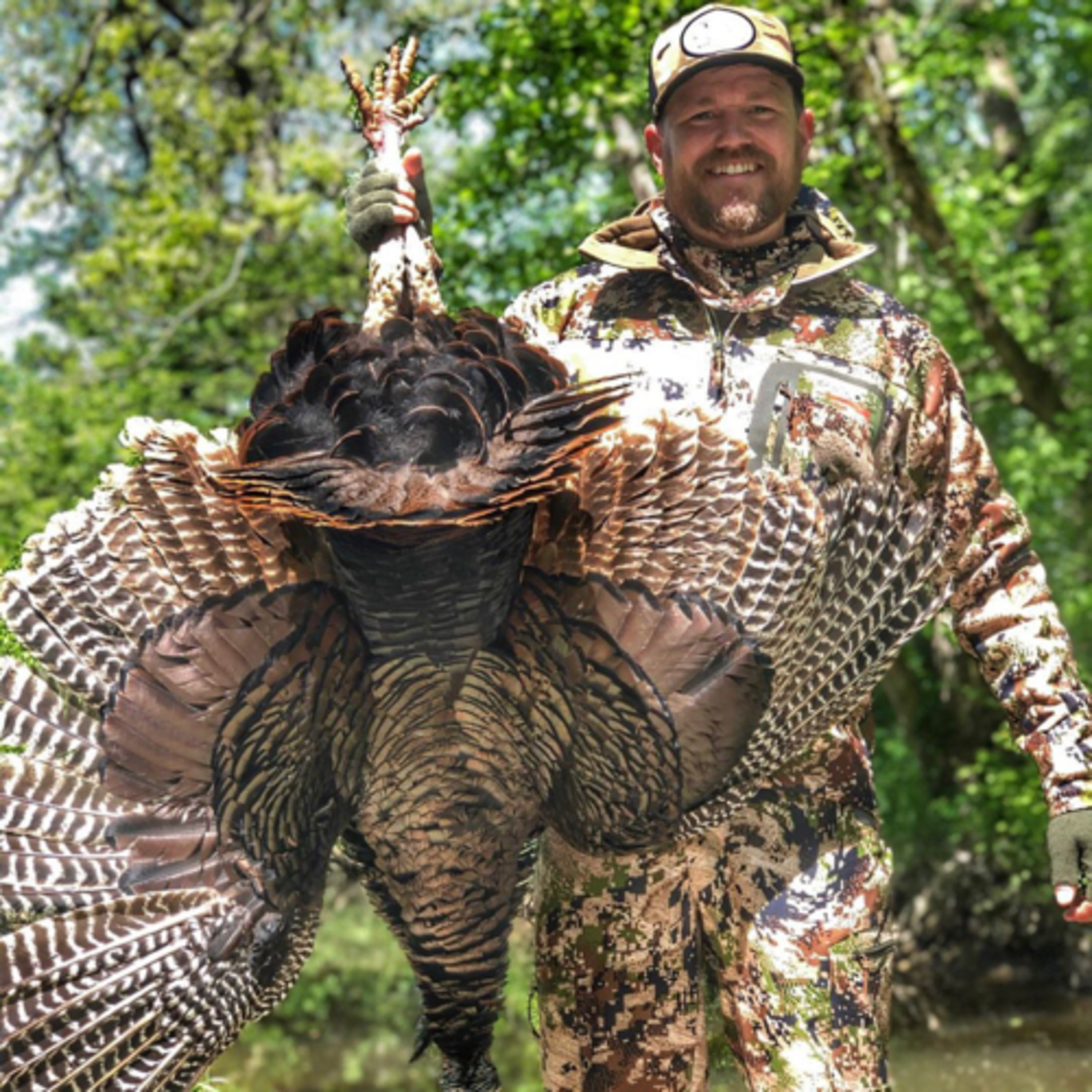 #3 - Wild Turkey Hunting Stories