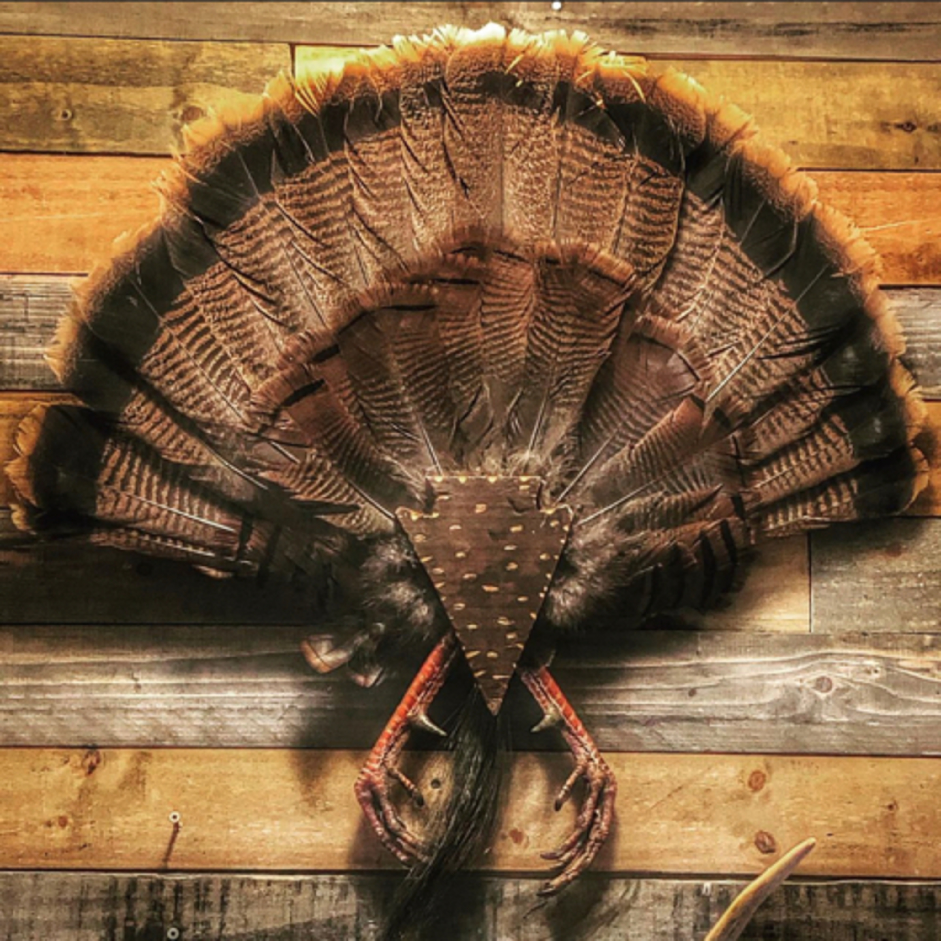 #7 - Turkey Hunting Gear For Beginners