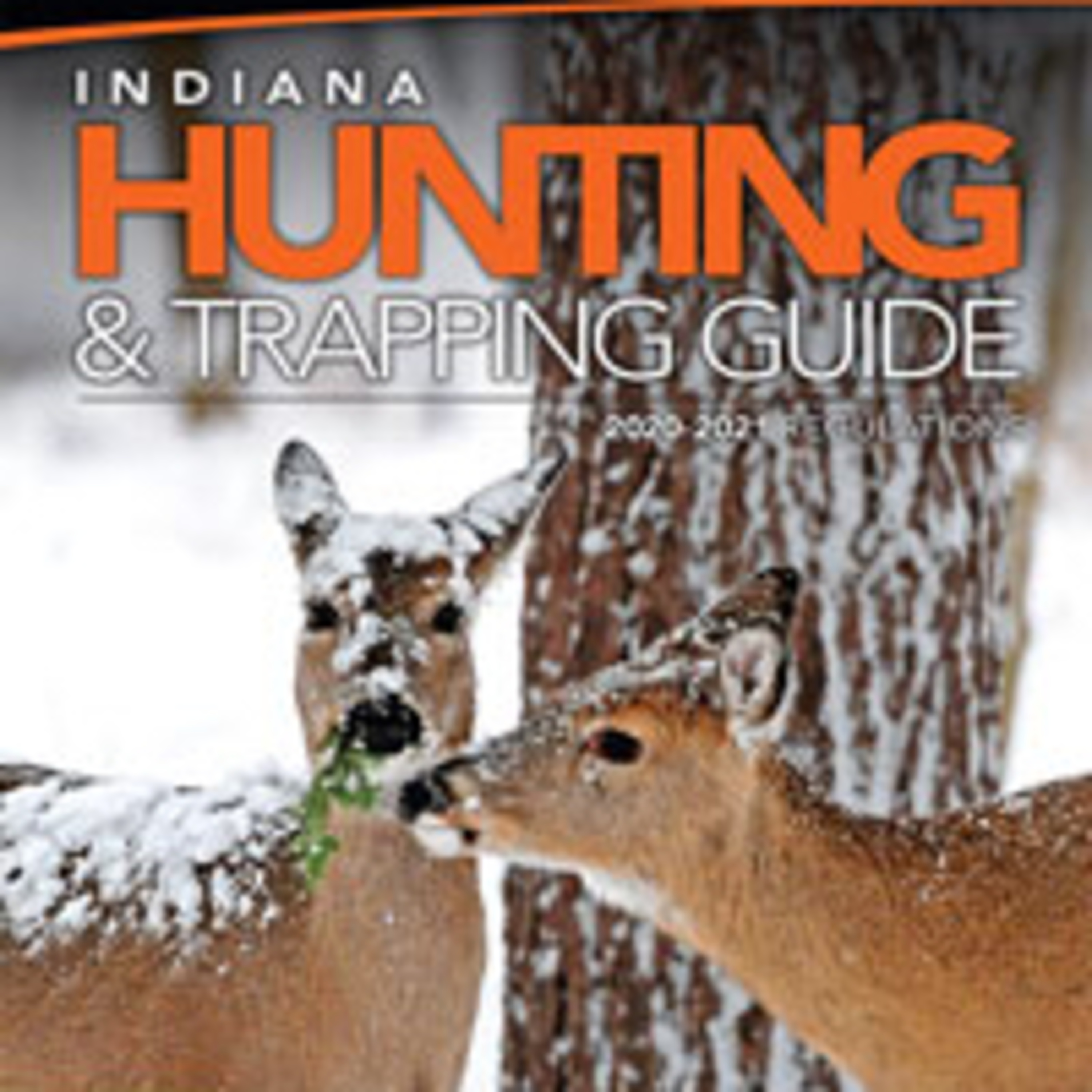 #10 - Deer Hunting For Beginners (Gear)