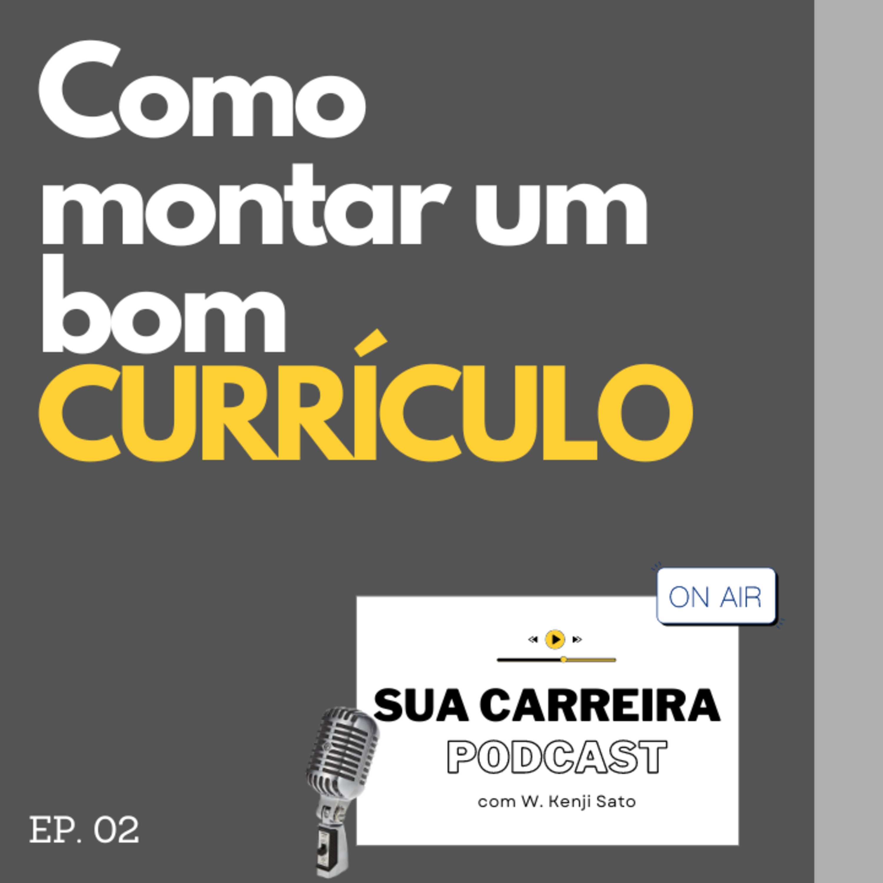Sua Carreira Podcast