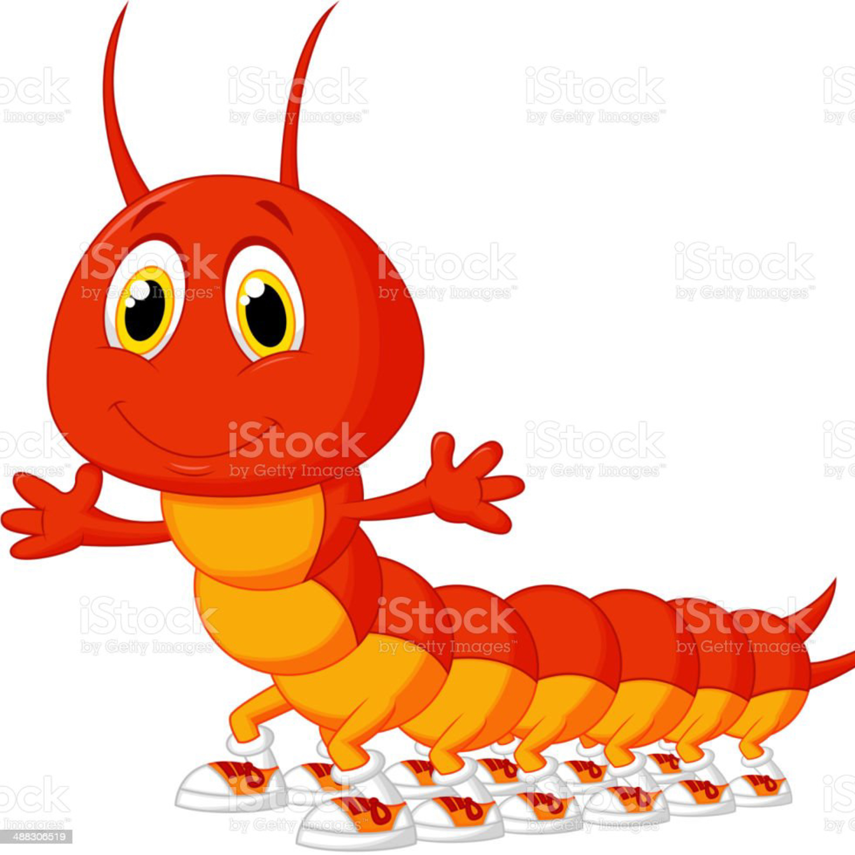 1.78 Ruốt cuộc rết có bao nhiêu chân ?
