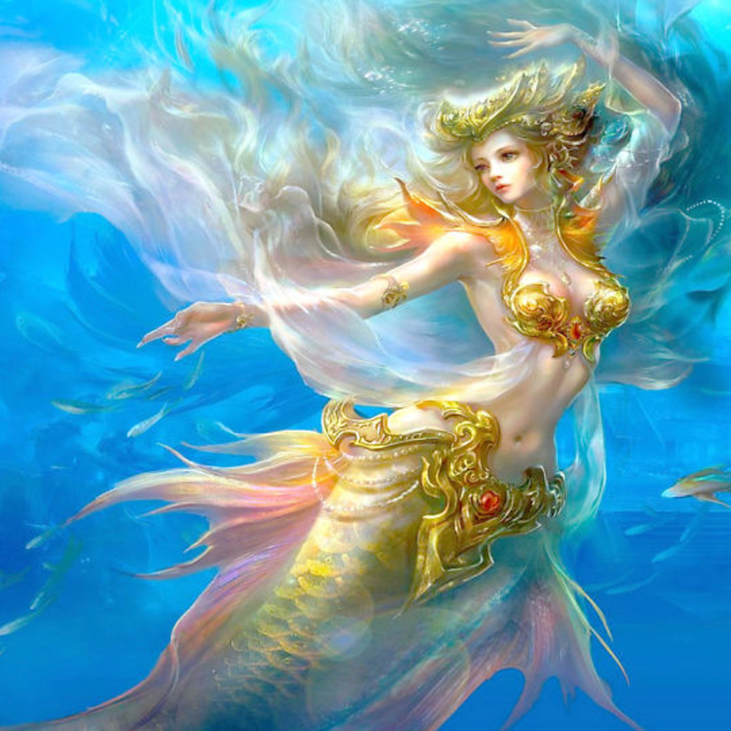 1.300 Có phải cá chuồn biết bay?