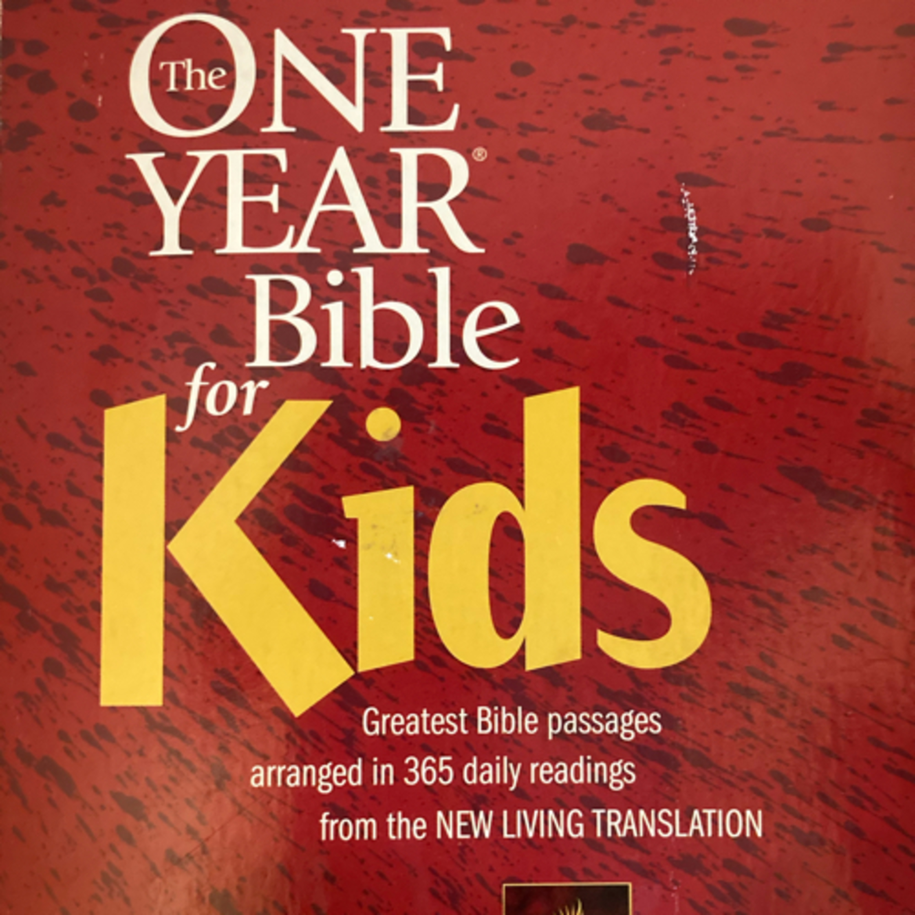 Bible Reading : May 25th episode artwork