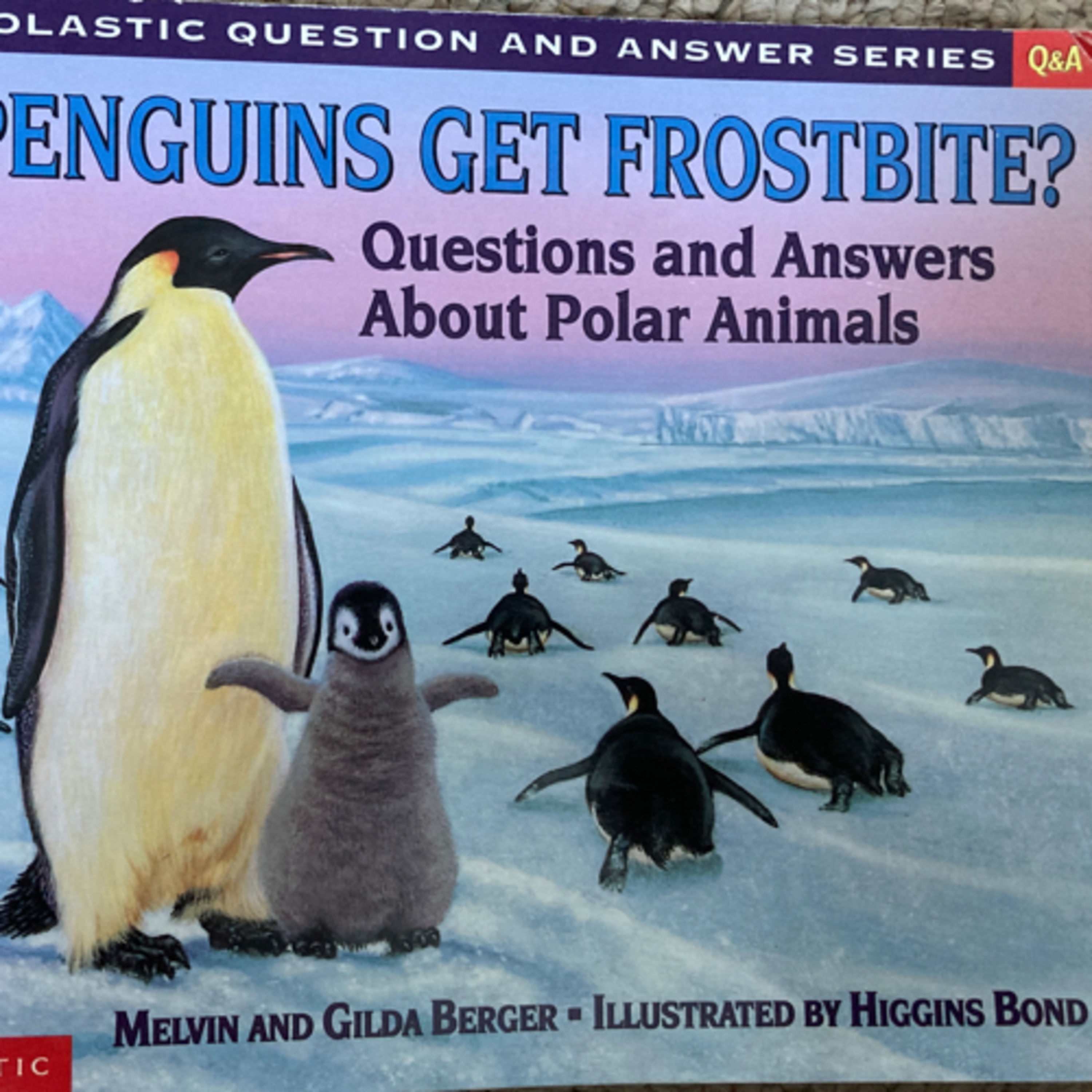 “Do Penguins Get Frostbite? Questions and Answers about Polar Animals” episode artwork
