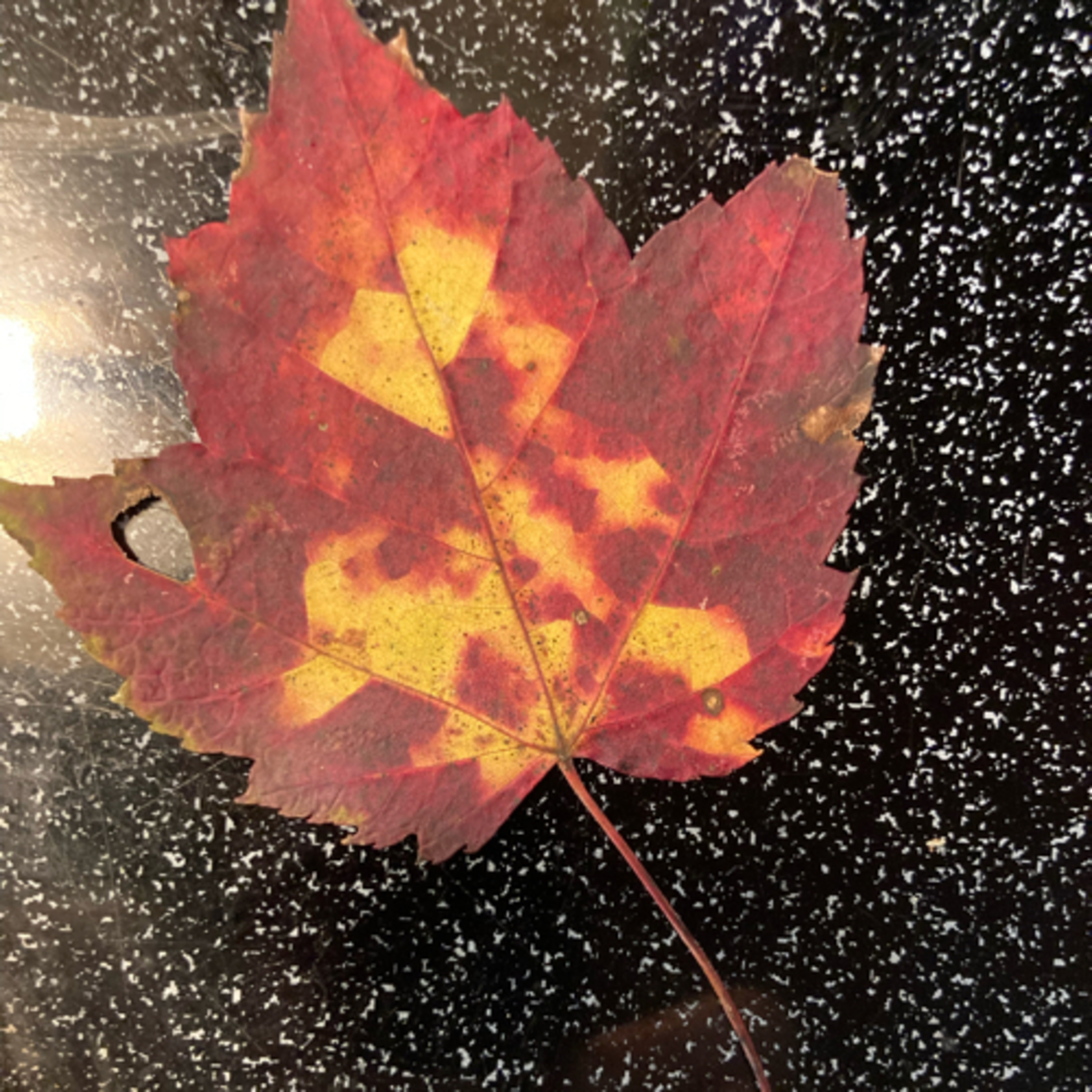 November 3 Bible Reading  episode artwork