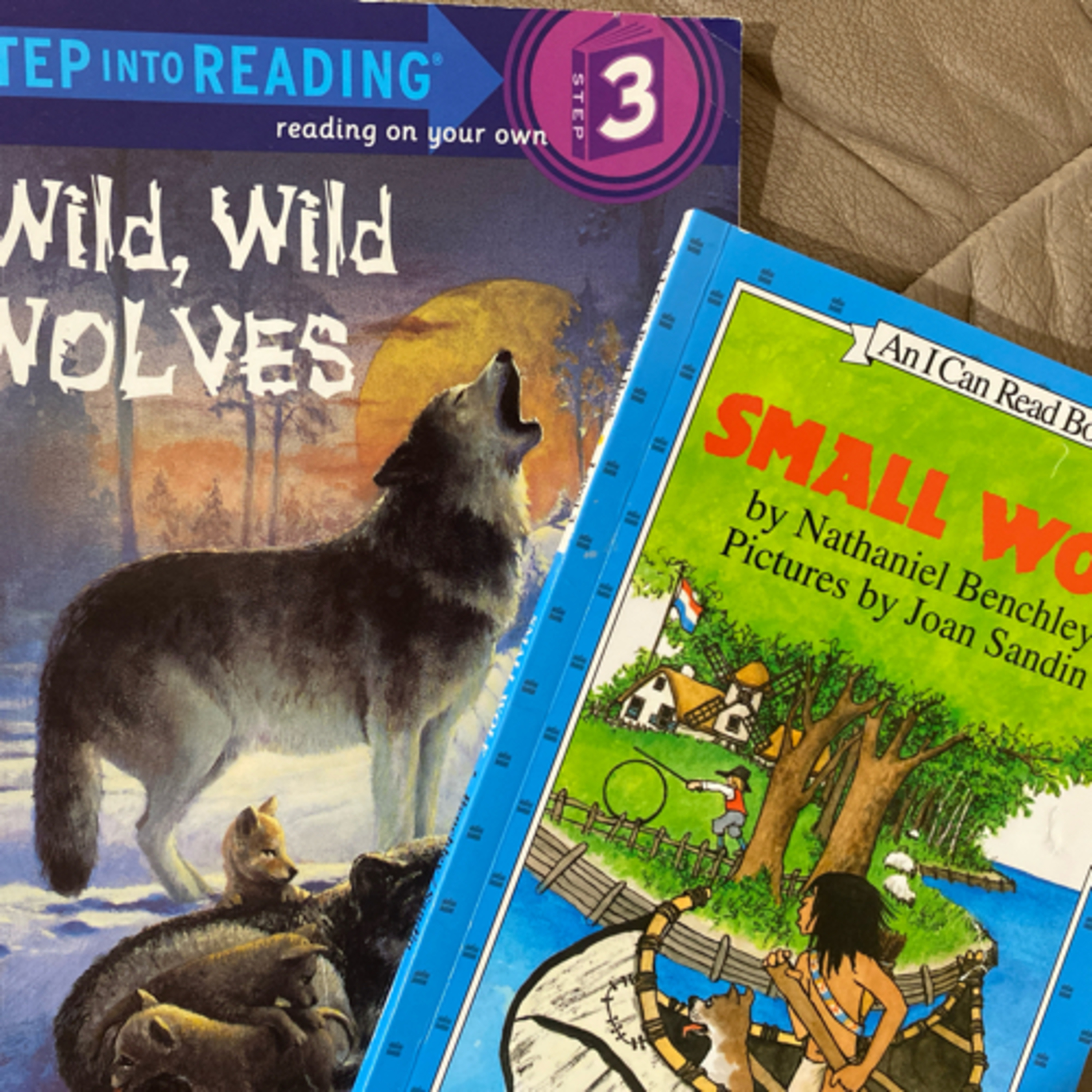 2 wolf books and a fox book with Mimi and Santi episode artwork