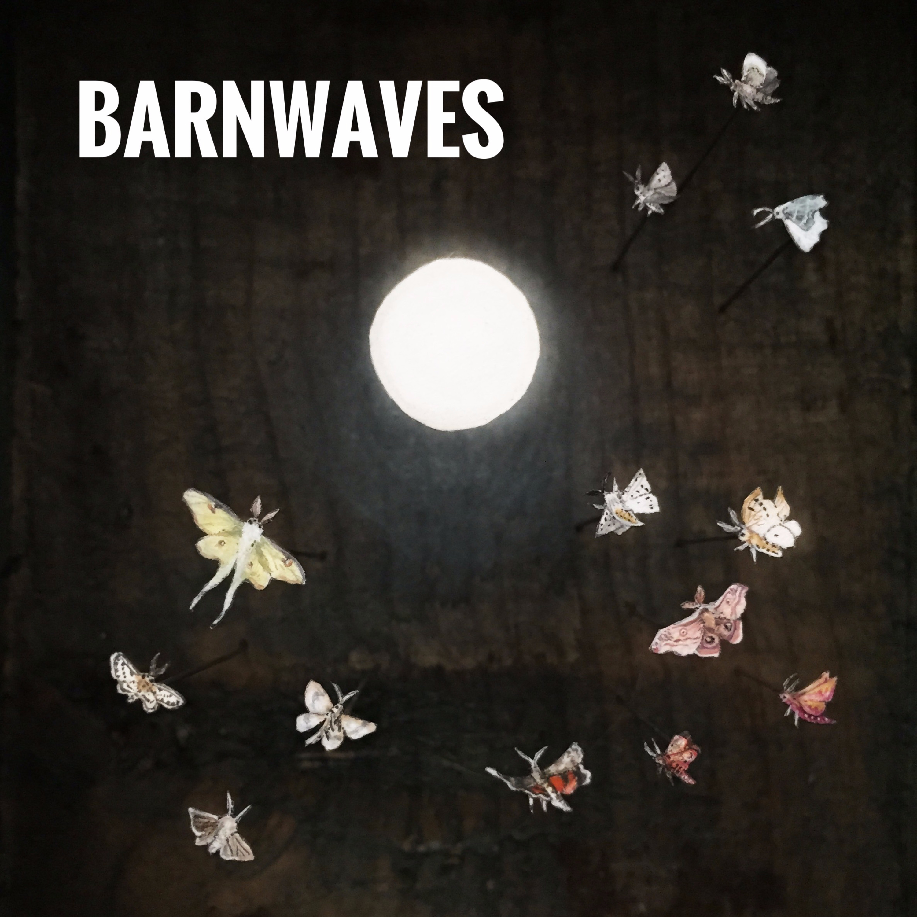 BarnWaves