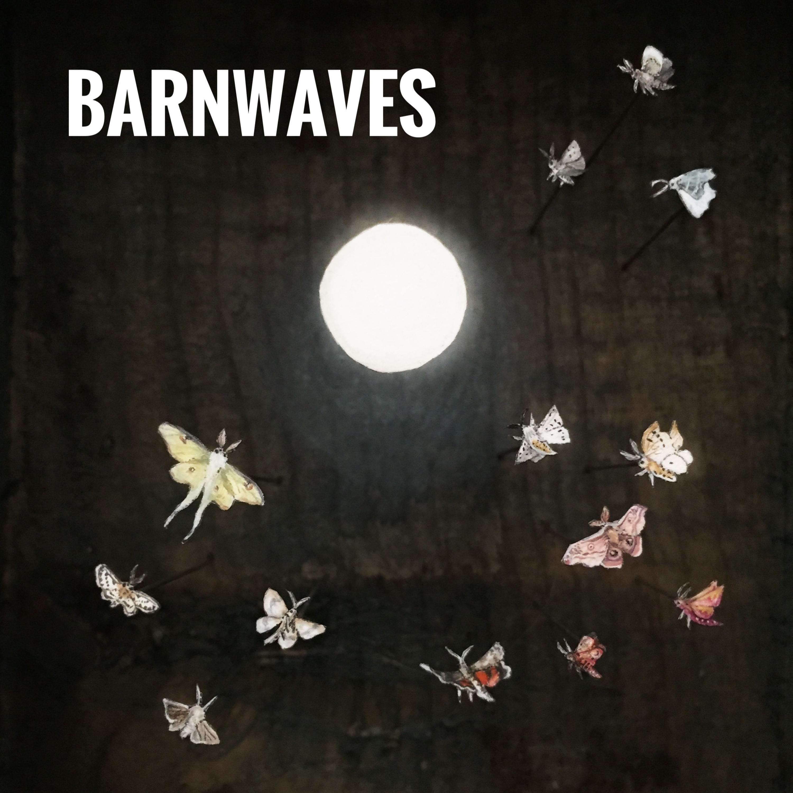 BarnWaves