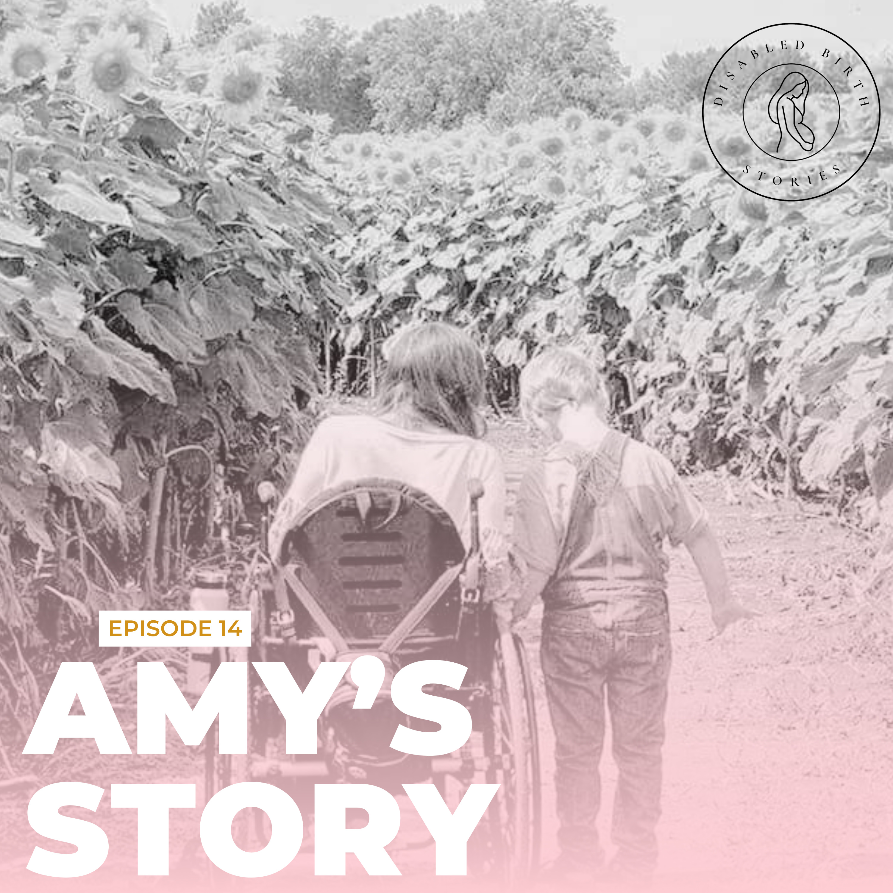 Disabled Birth Stories