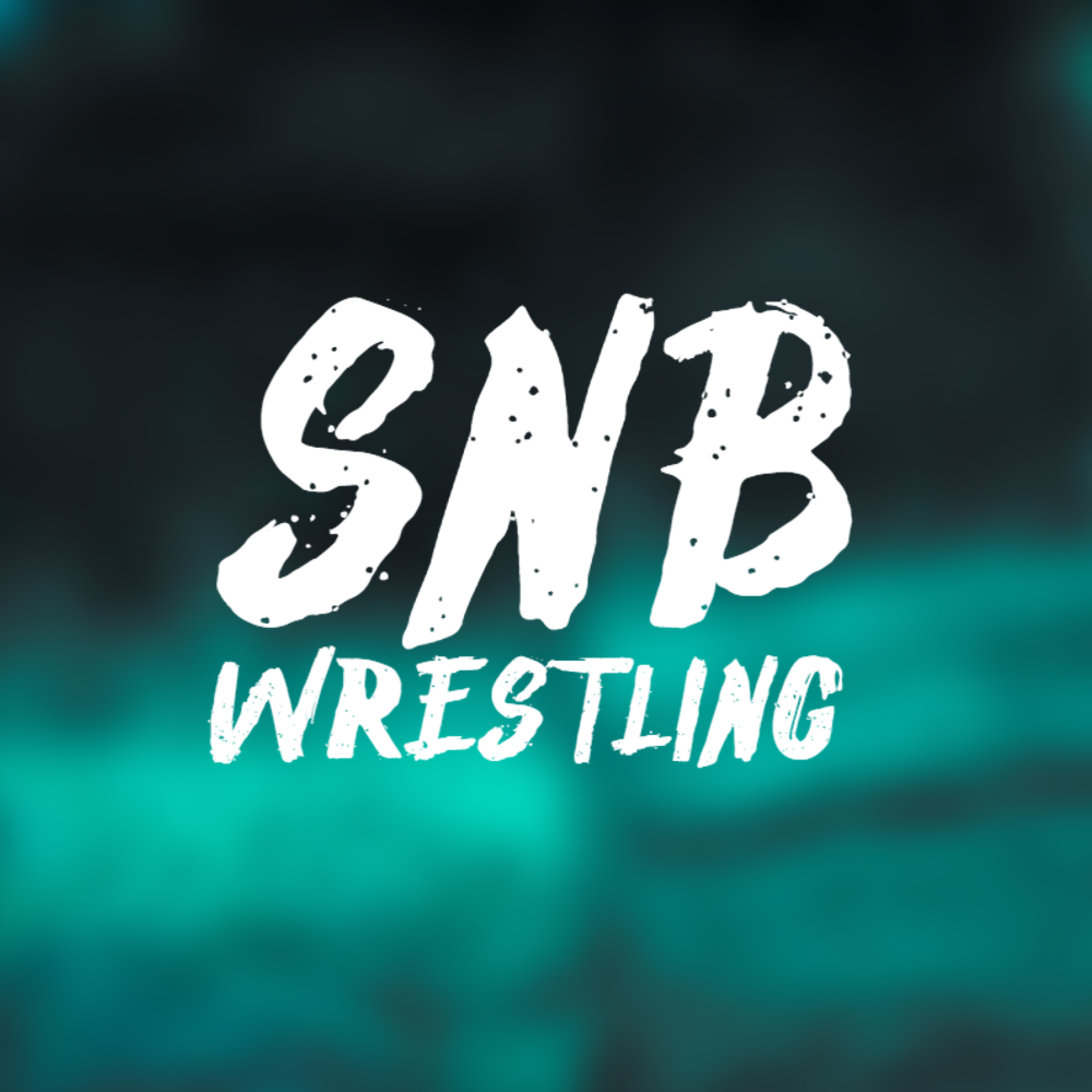 MJF Retains Against Bryan Danielson, FTR Returns | AEW Revolution 2023 Review | SNB Wrestling Ep. 1 episode artwork