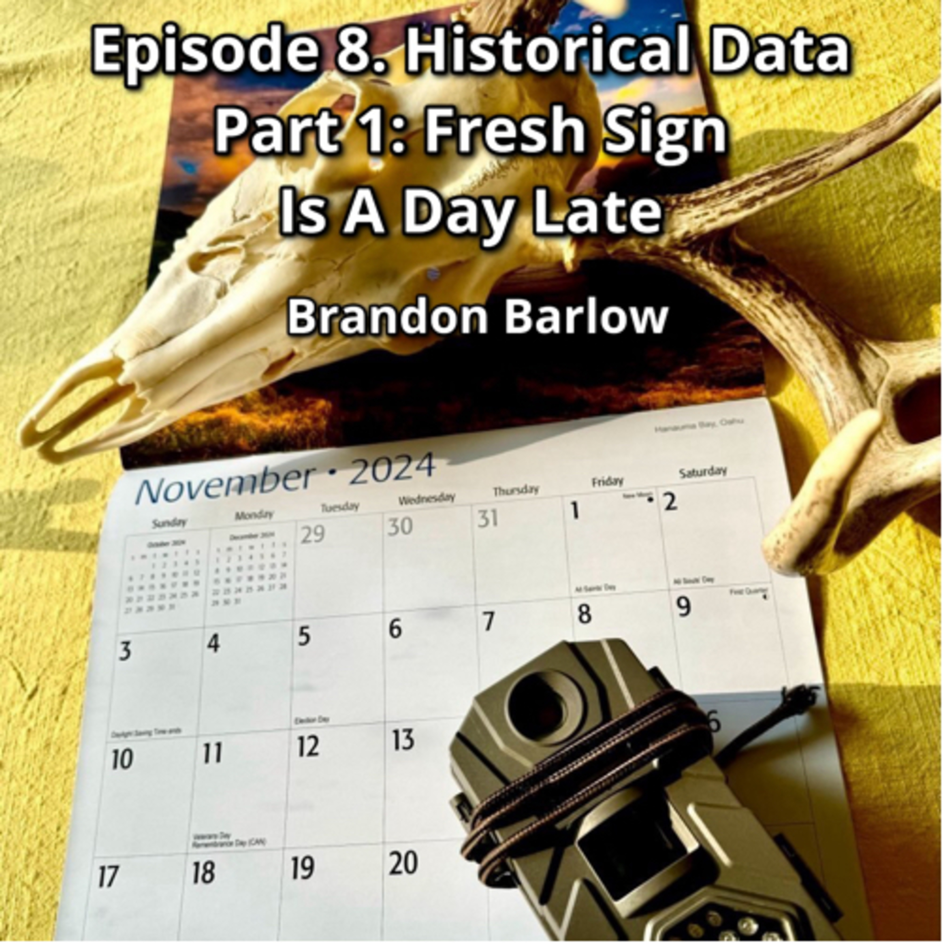 Episode 8. Historical Data Part 1: Fresh Sign Is A Day Late