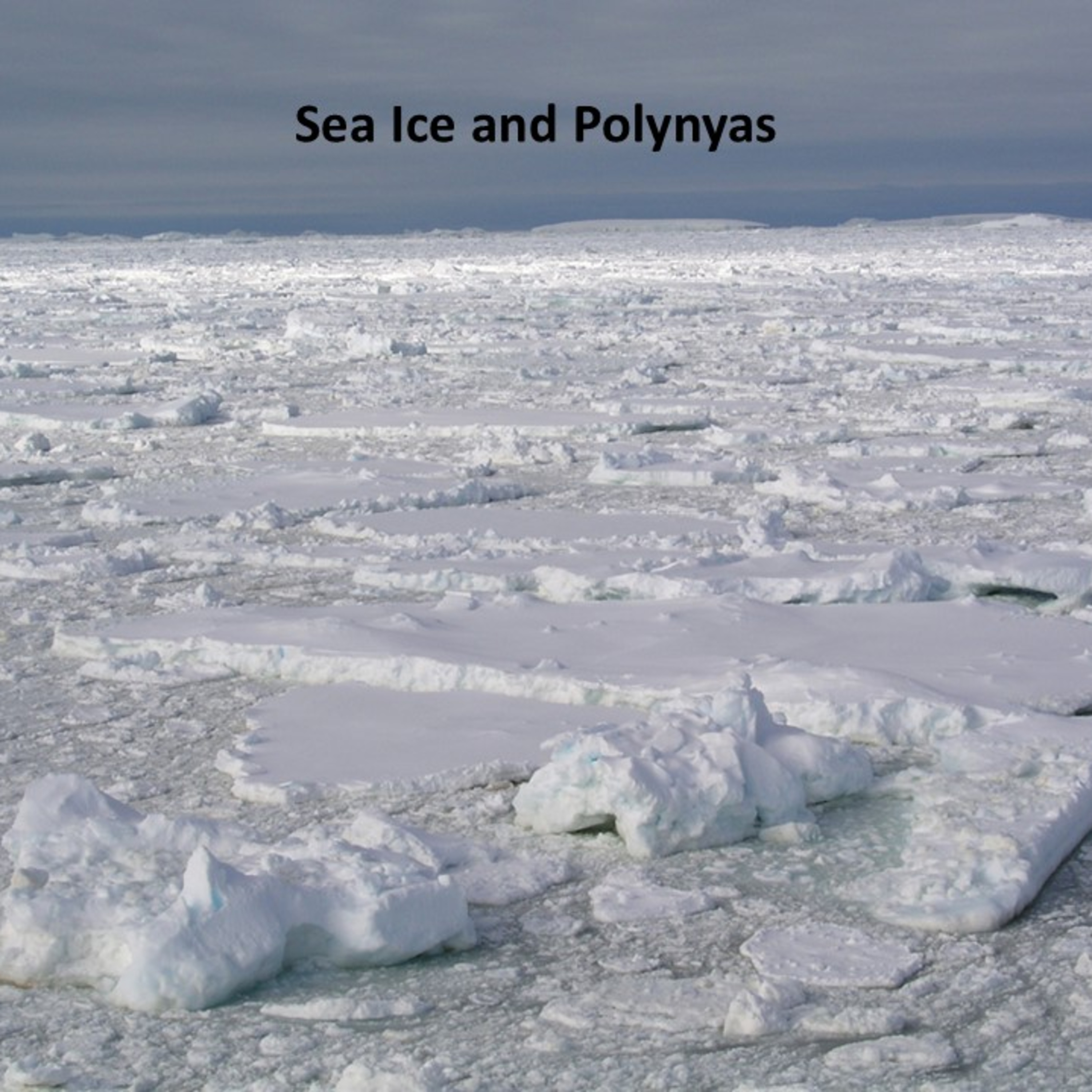 All about Antarctica