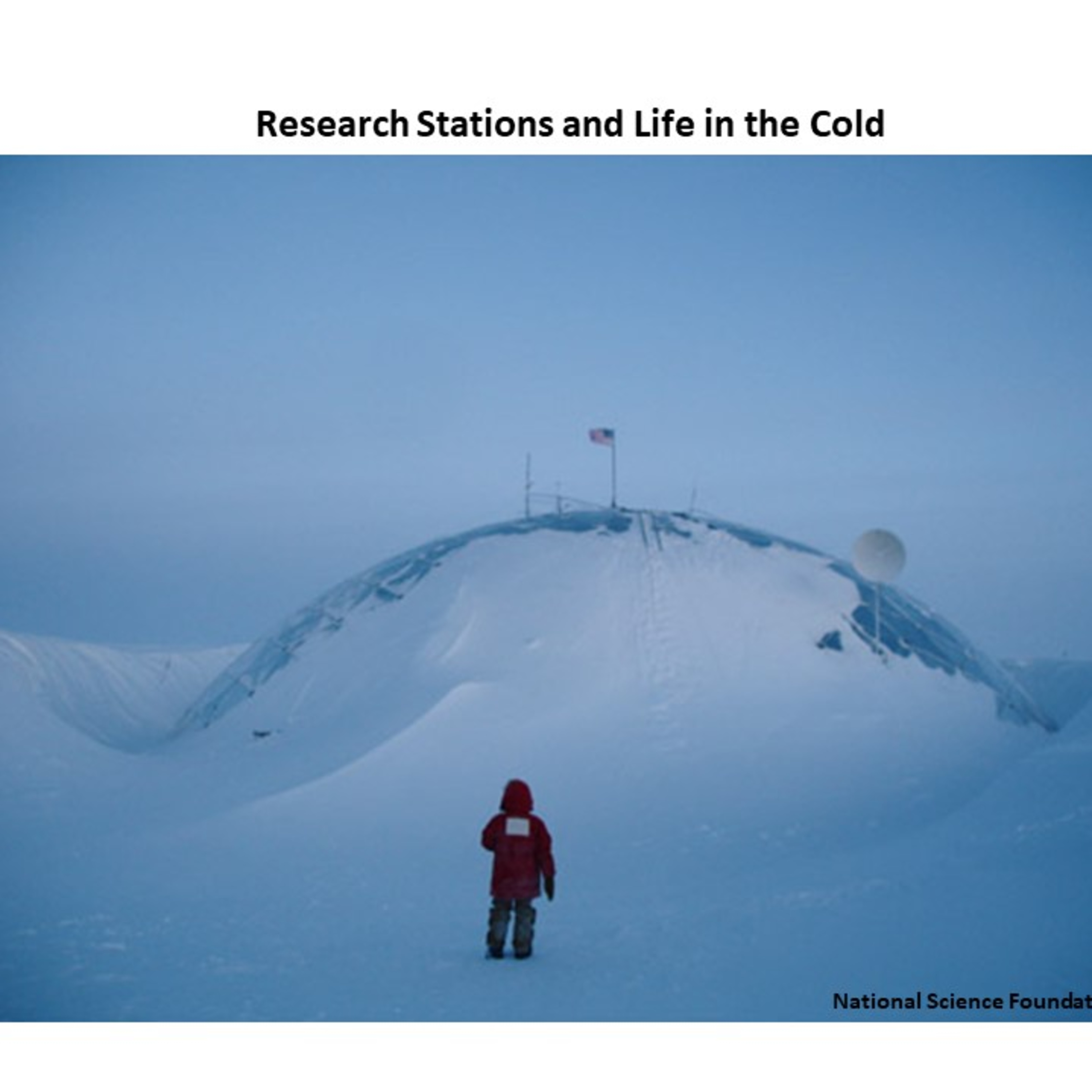 All about Antarctica