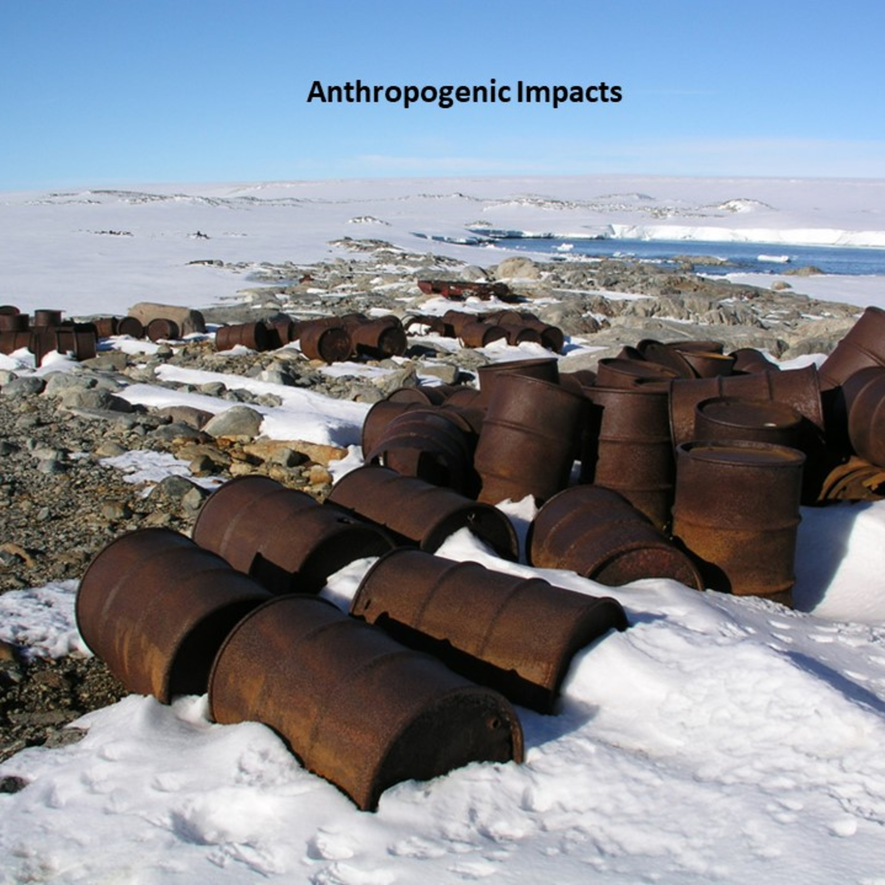 All about Antarctica