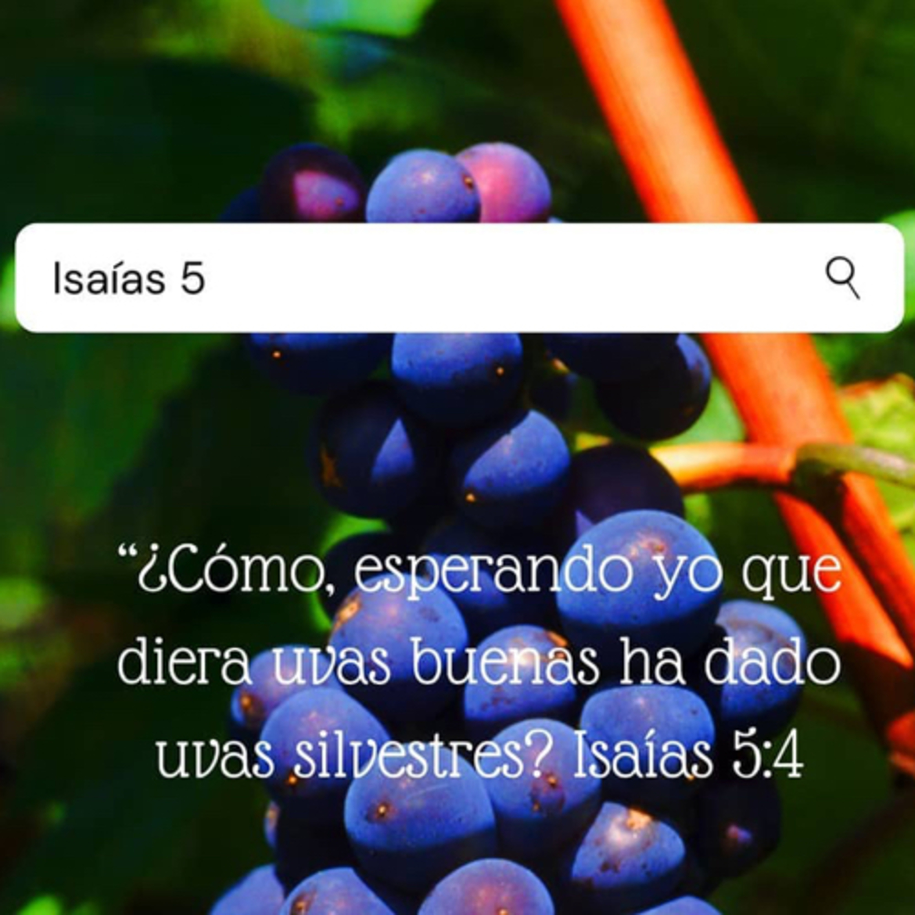John’s iPad reads The Bible