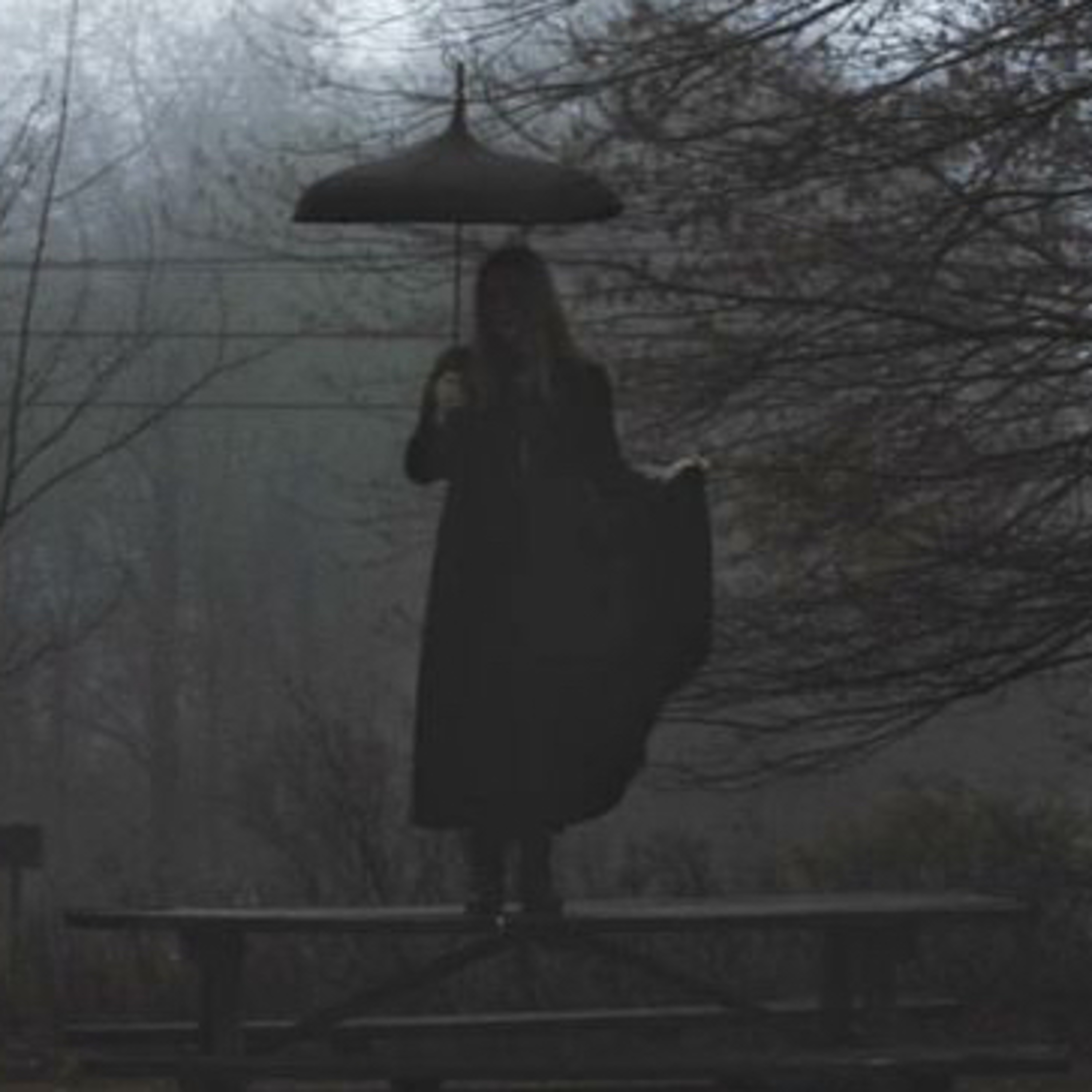 The Missing Girl