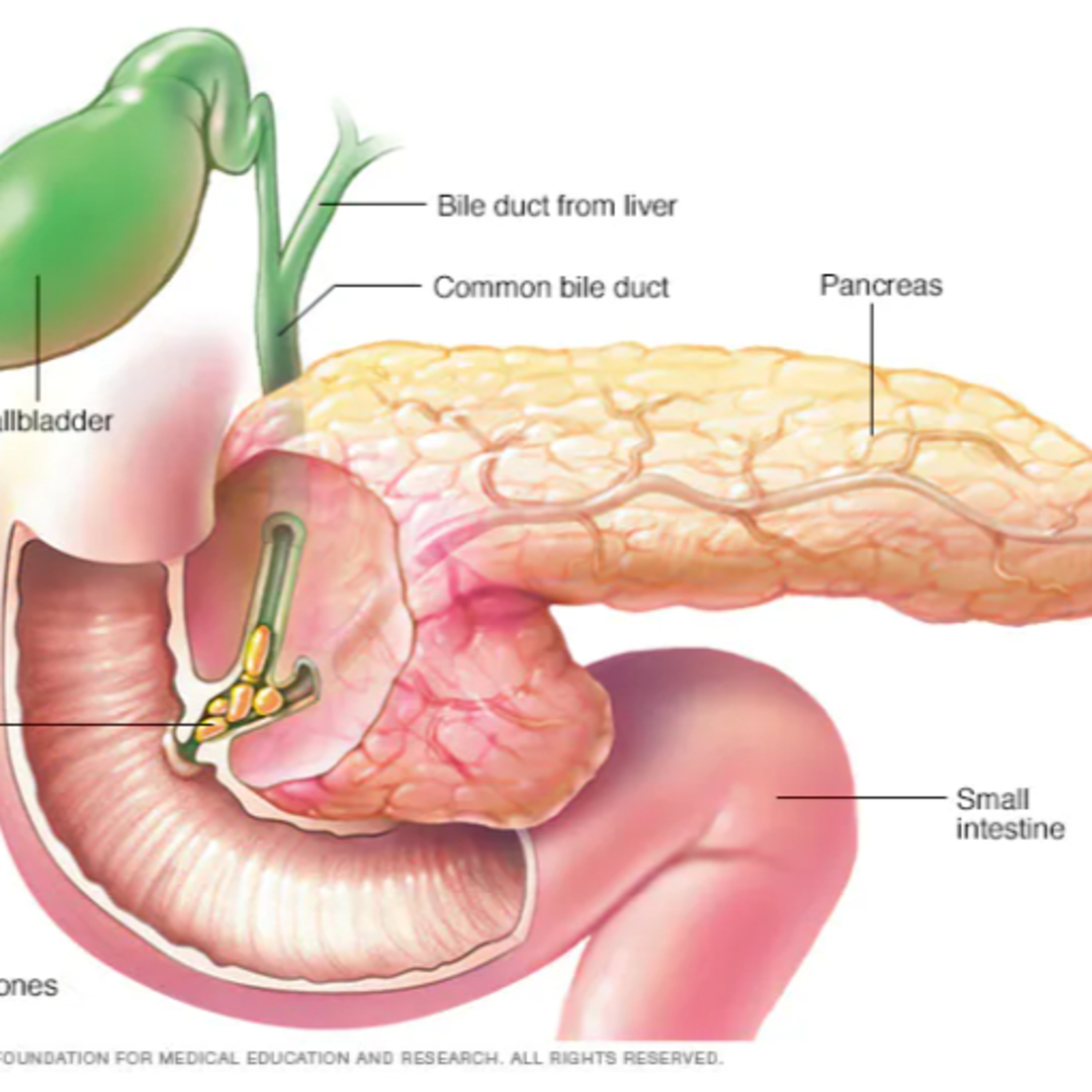 Cập nhật Y khoa mới nhất