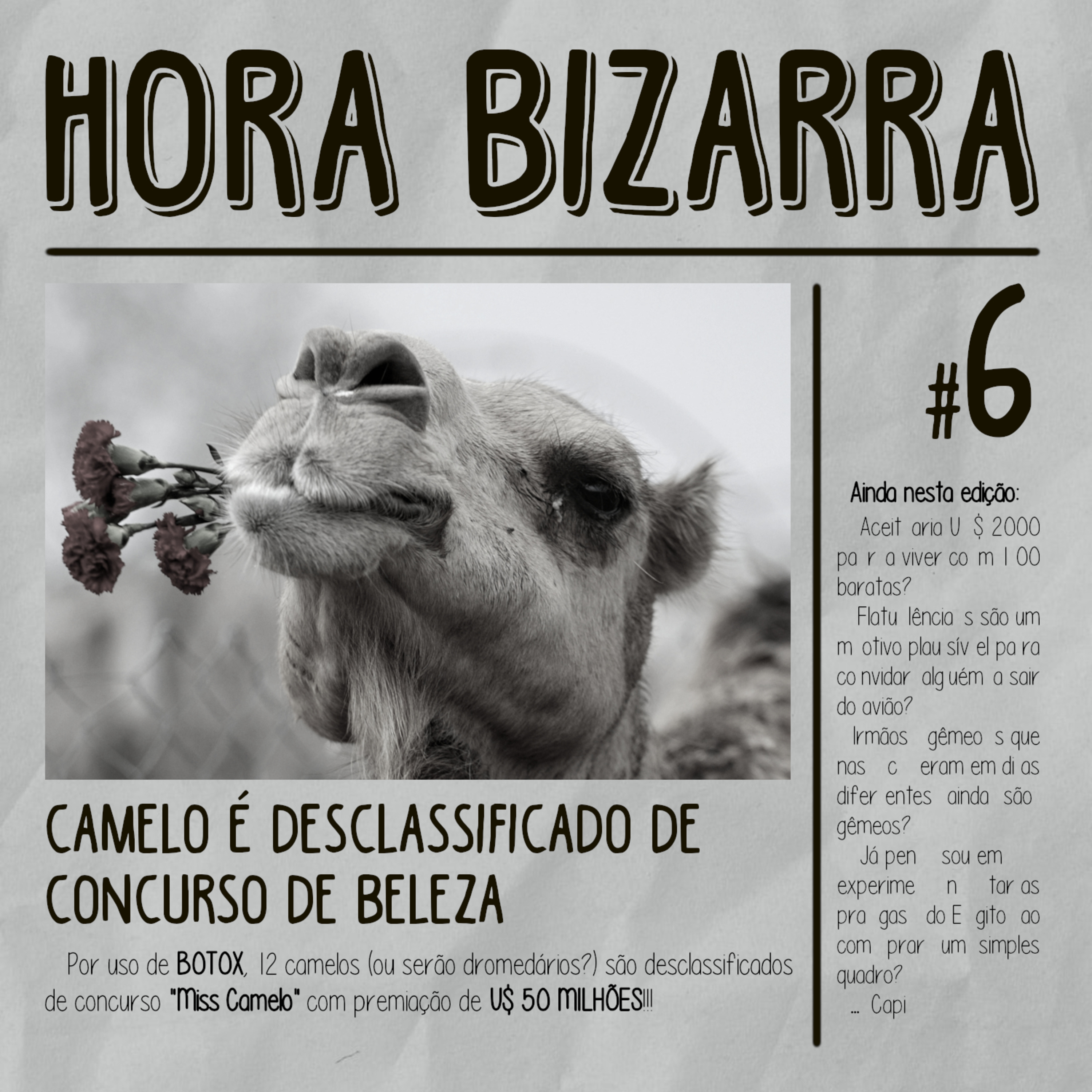 O Porão