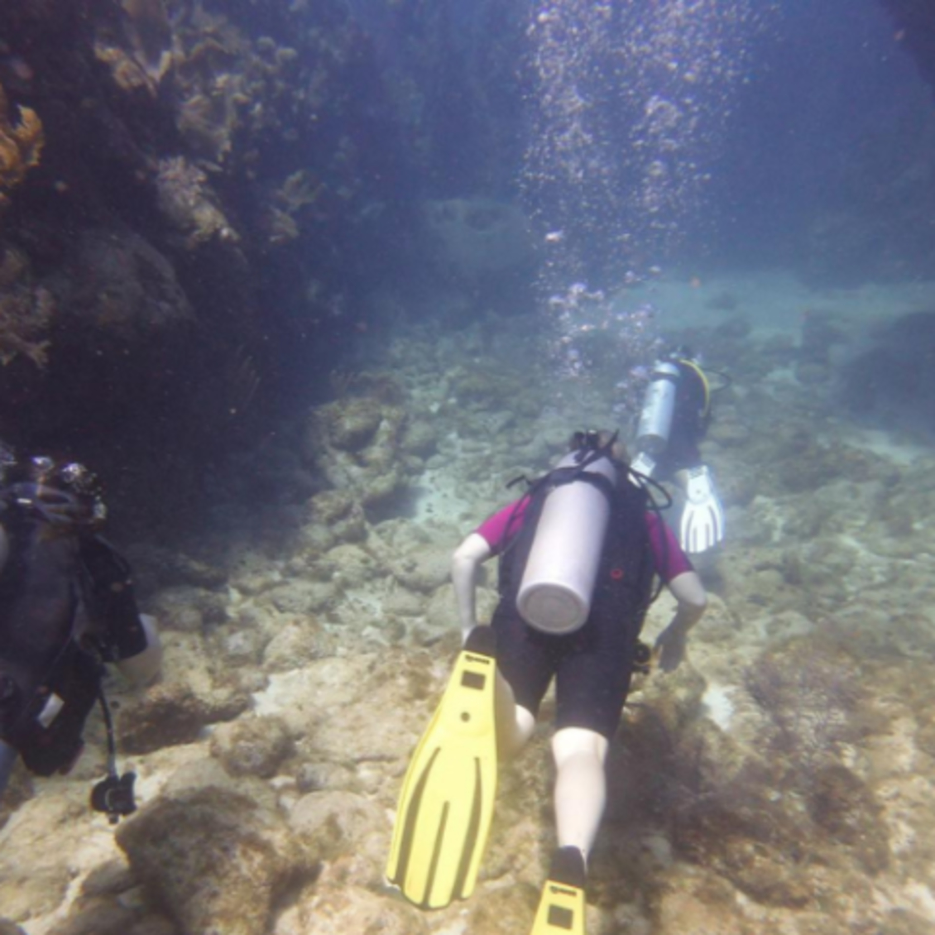 Scuba Diving Sites Across The World episode artwork