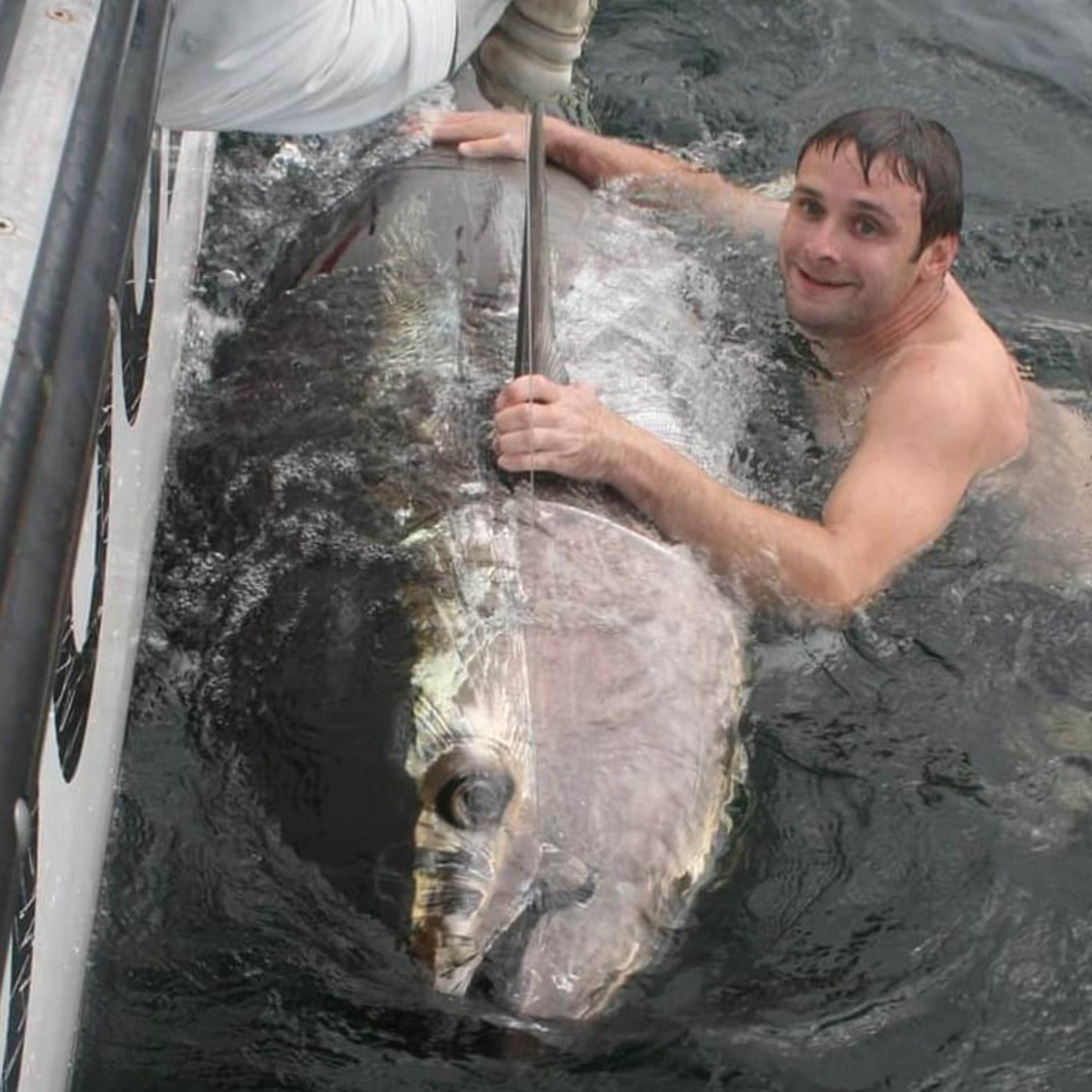The NJ Multi Species Podcast #2 - Justin Lerner, Merrill Creek, Lake Hopatcong Guide Service Fishing Report & Your Emails