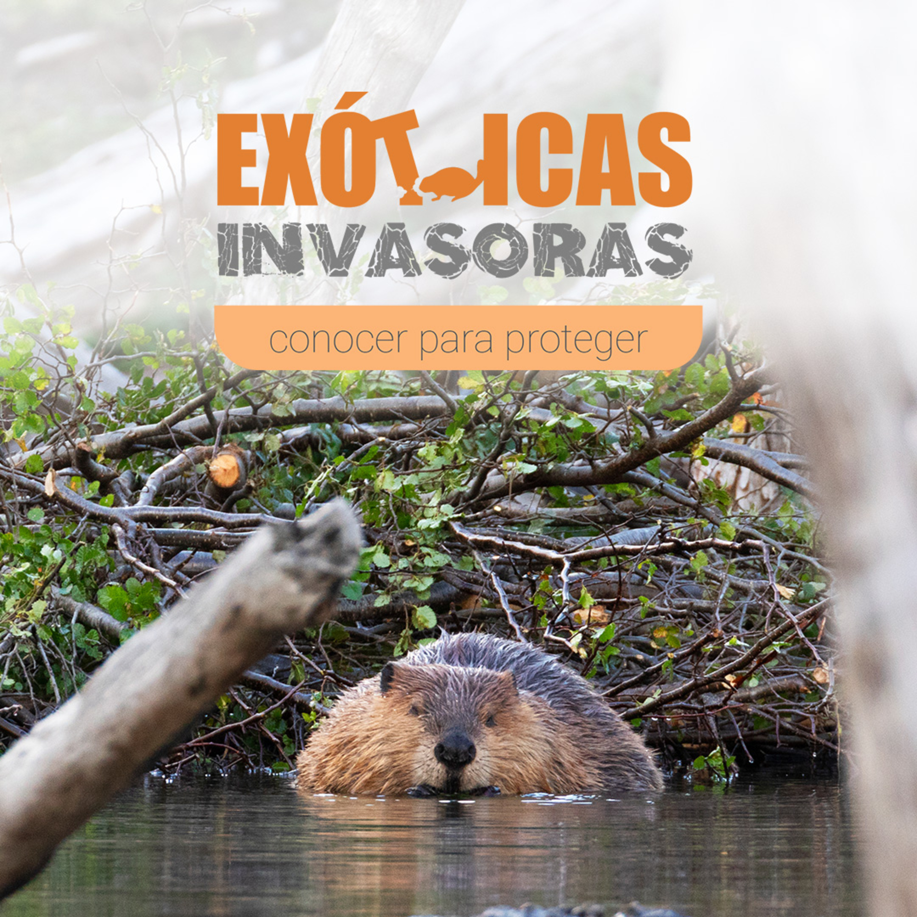 Especies Exóticas Invasoras