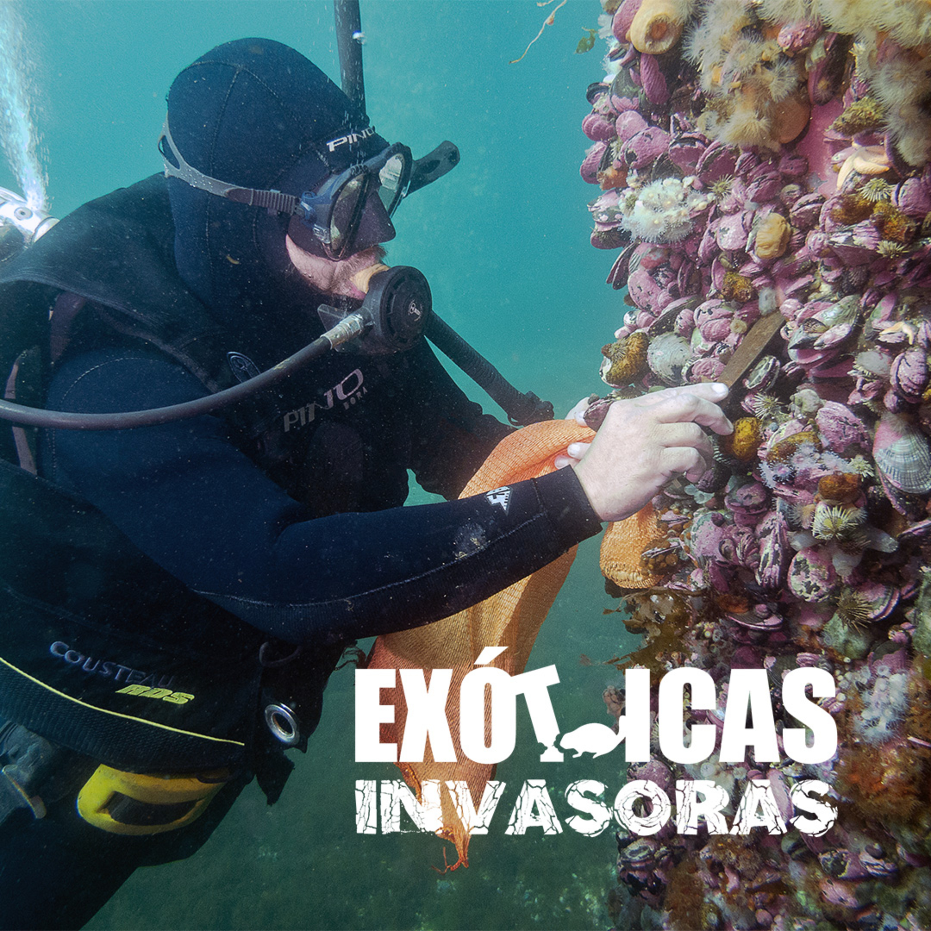 Especies Exóticas Invasoras