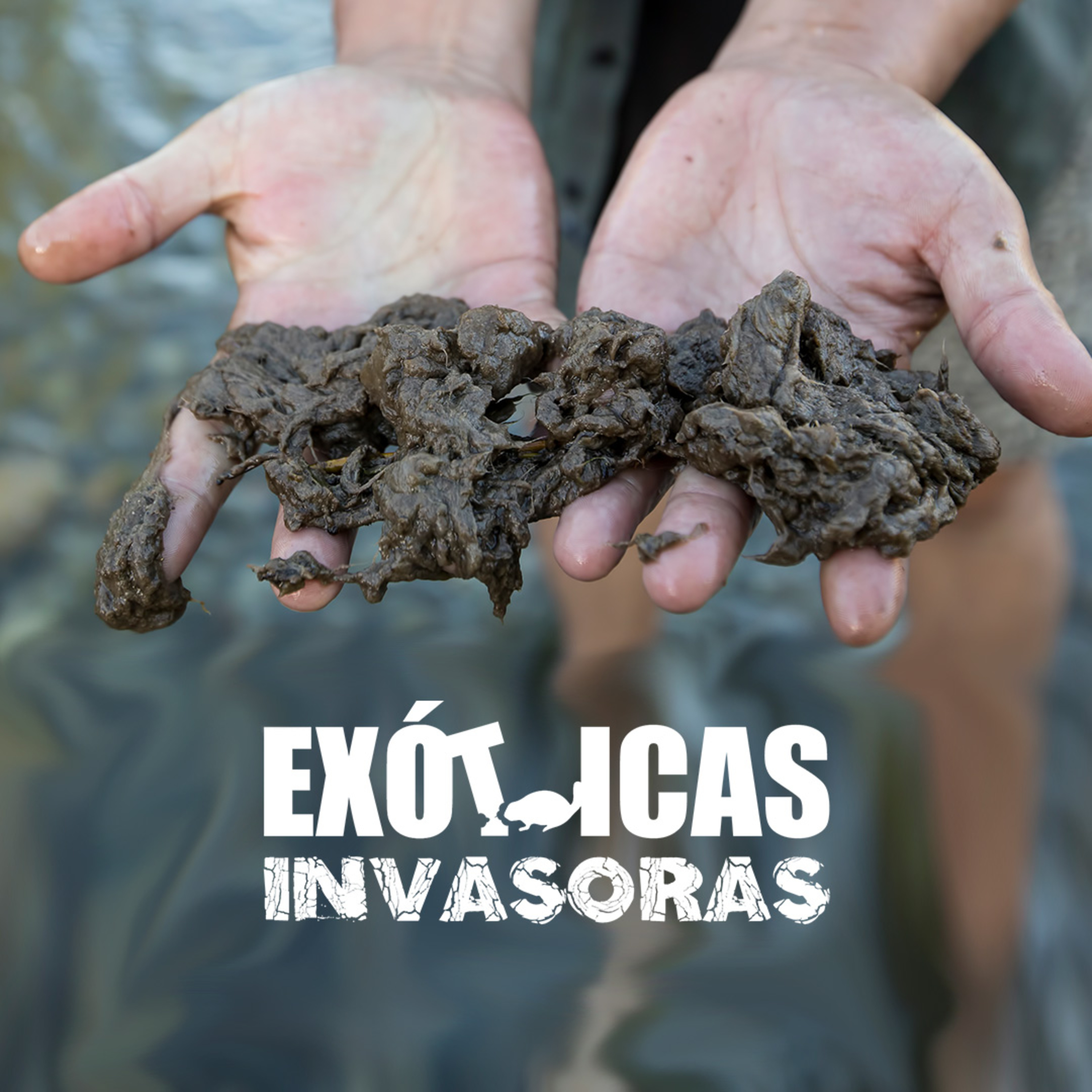 Especies Exóticas Invasoras