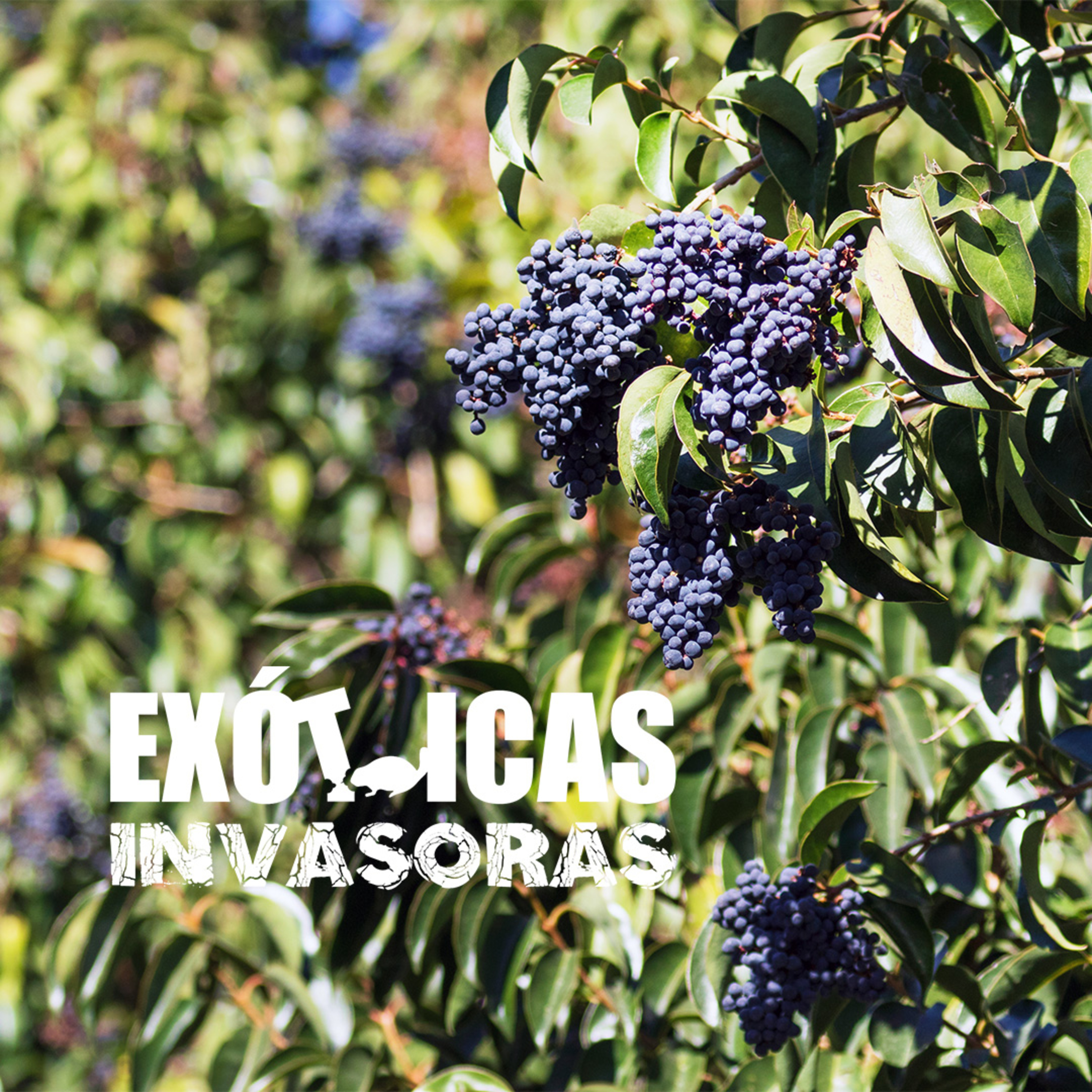 Especies Exóticas Invasoras