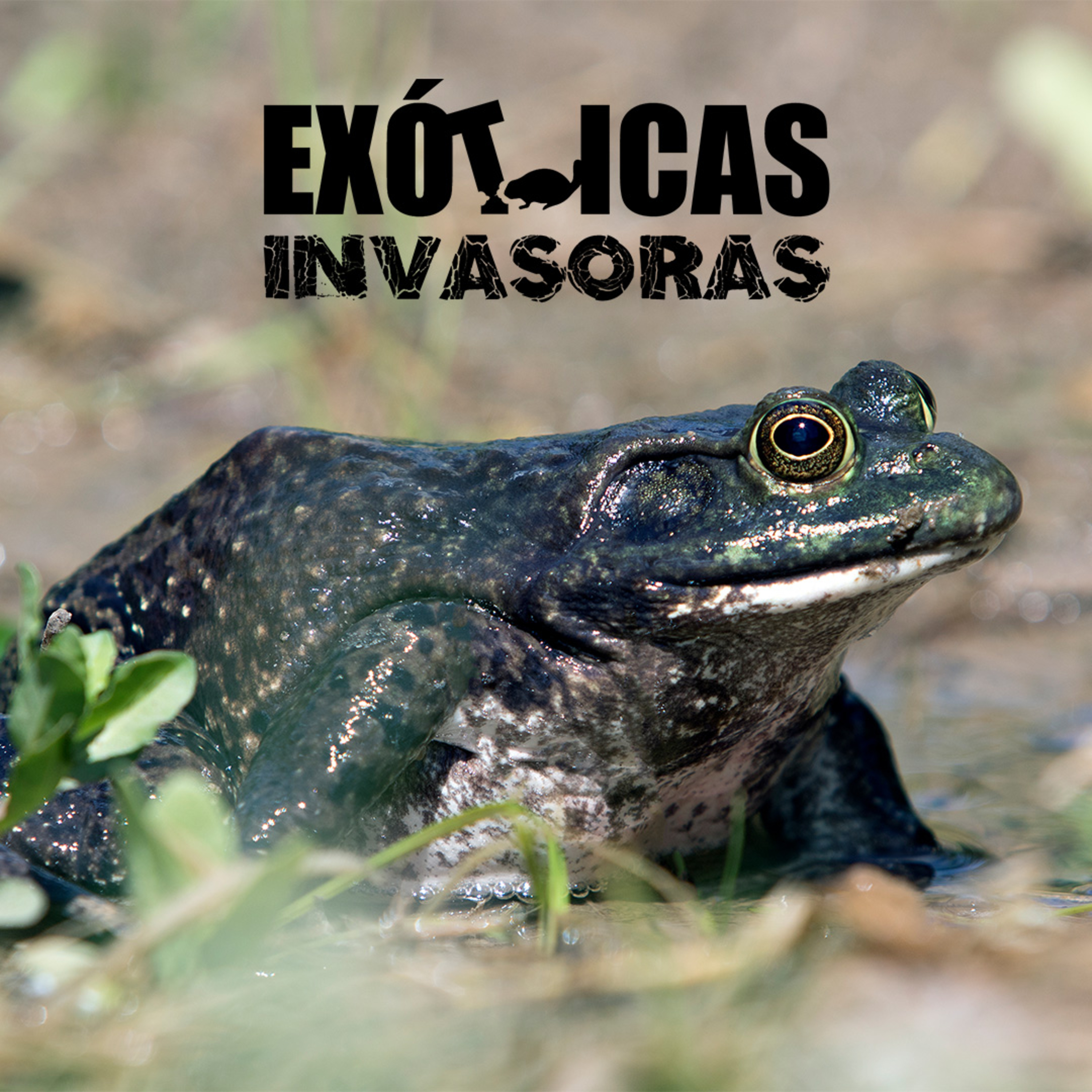 Especies Exóticas Invasoras