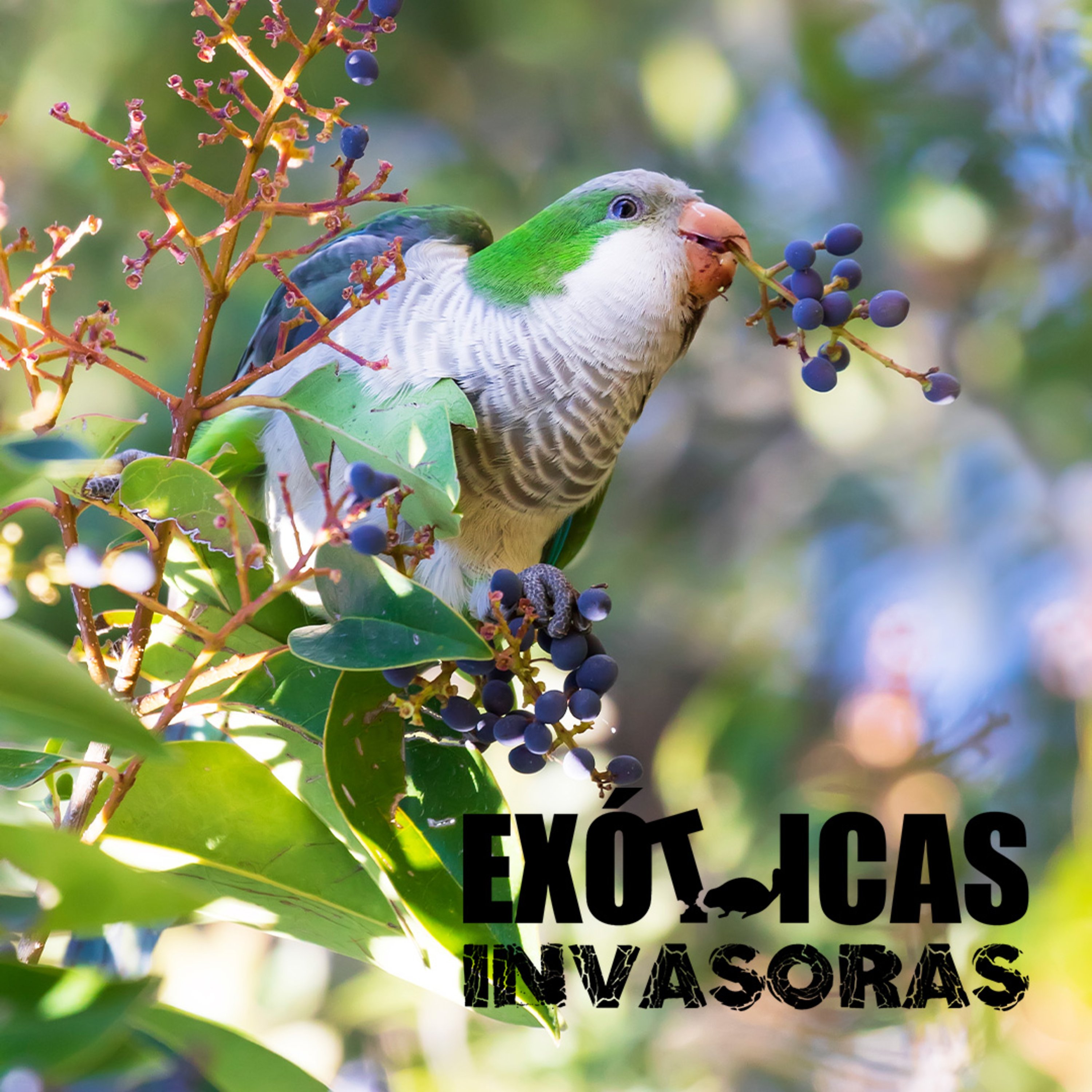 Especies Exóticas Invasoras