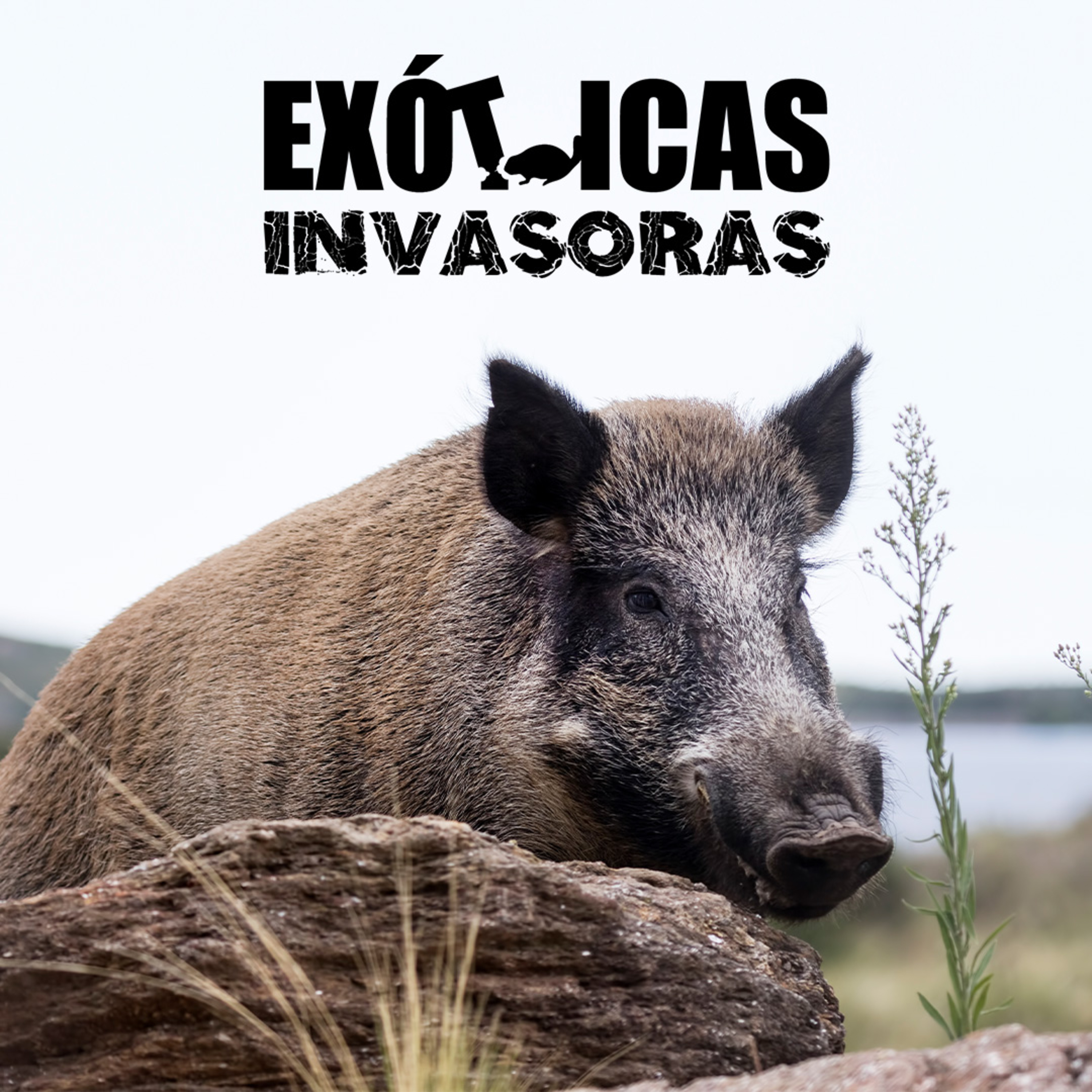 Especies Exóticas Invasoras