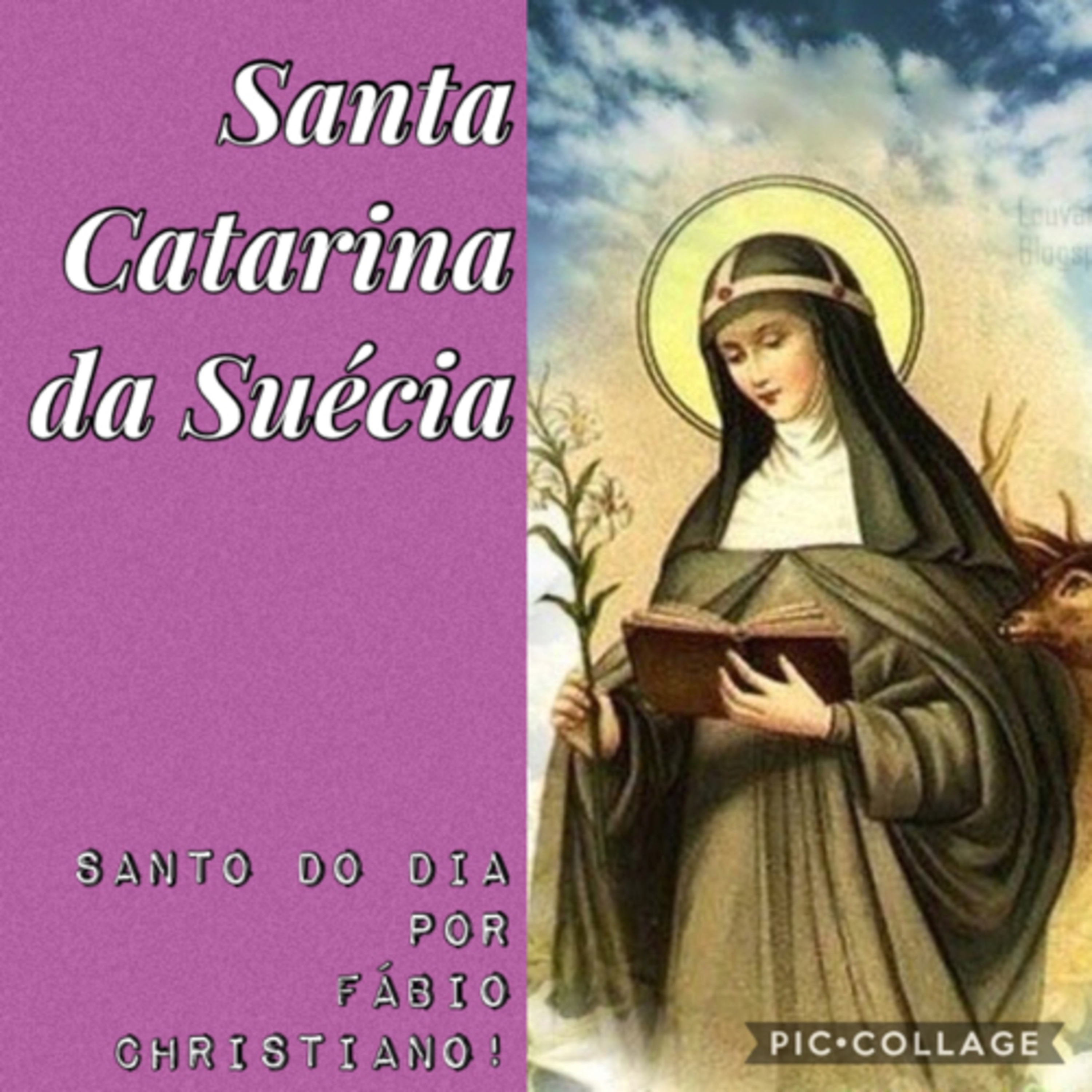Santo do Dia