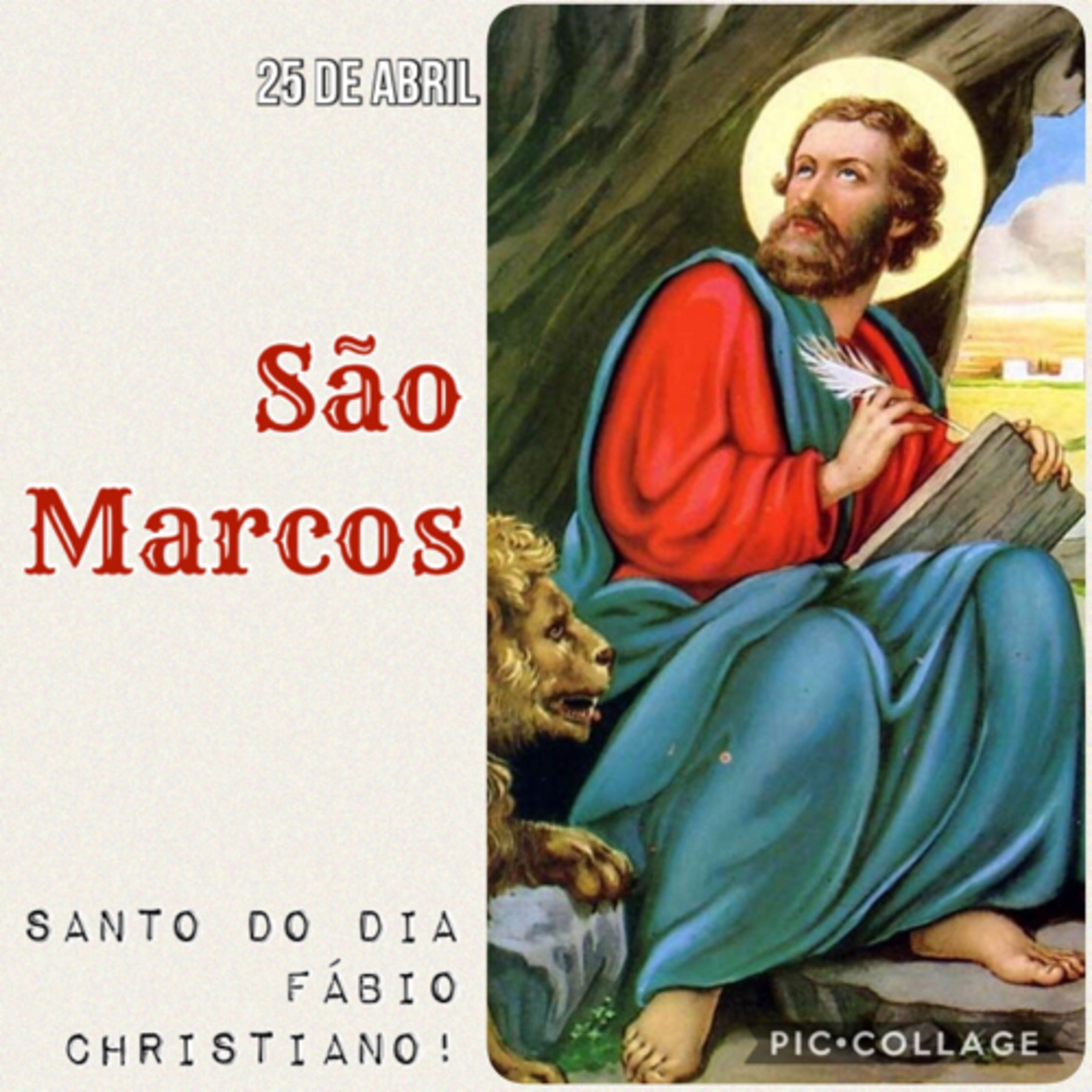 Santo do Dia