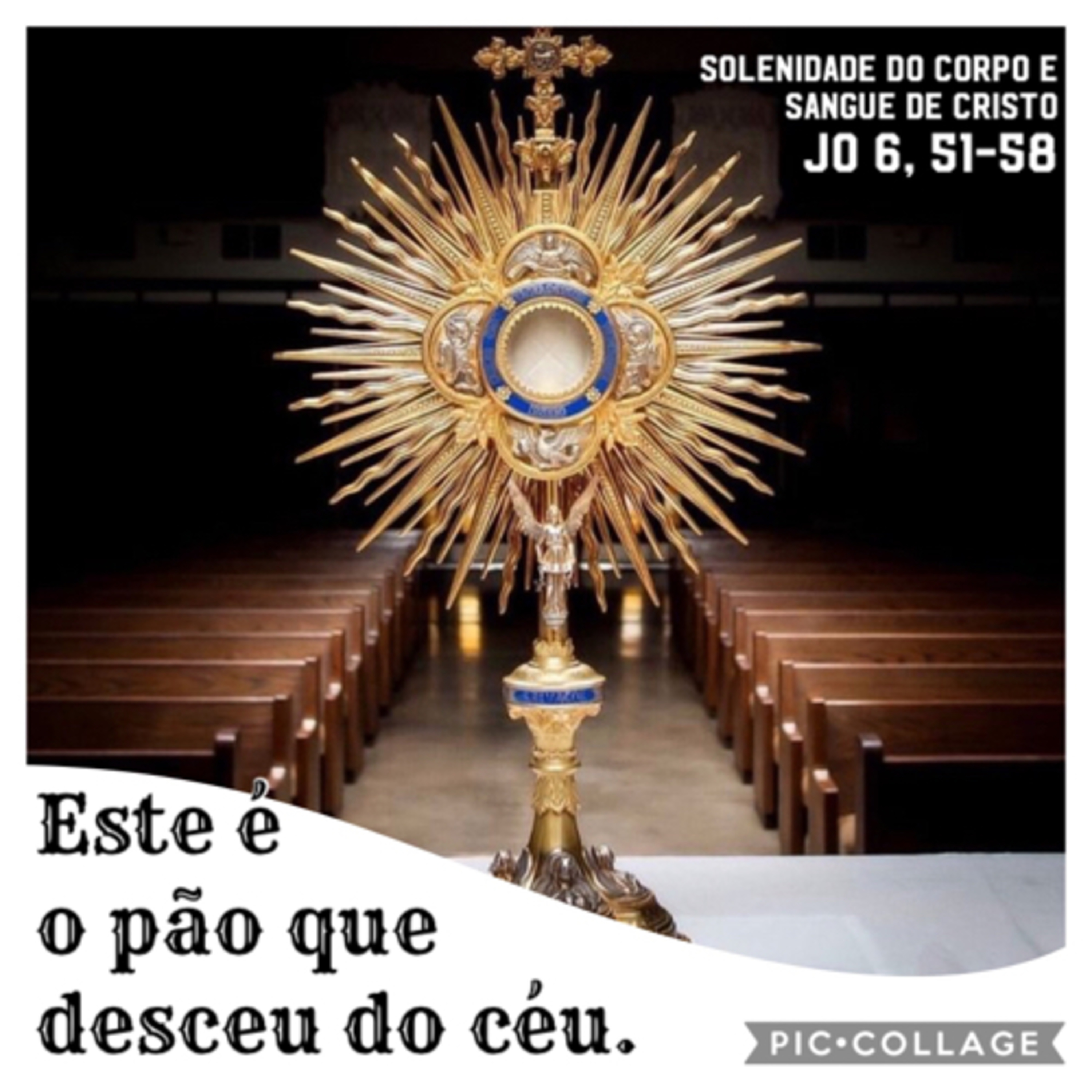 Santo do Dia