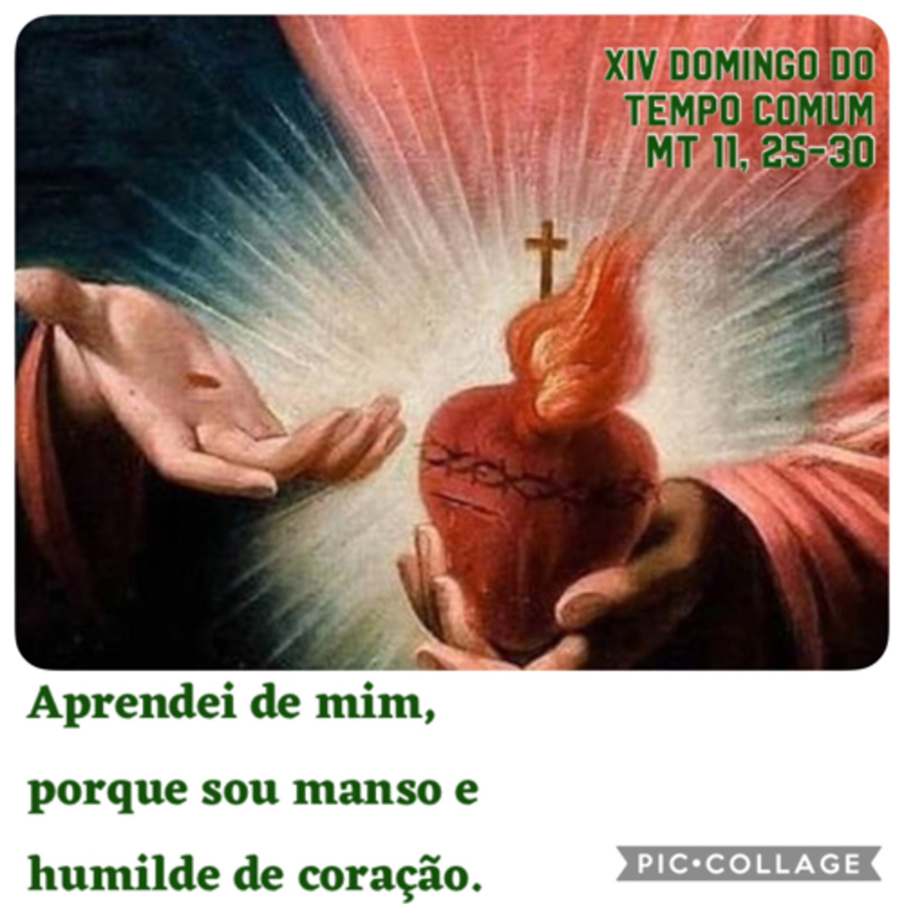 Santo do Dia
