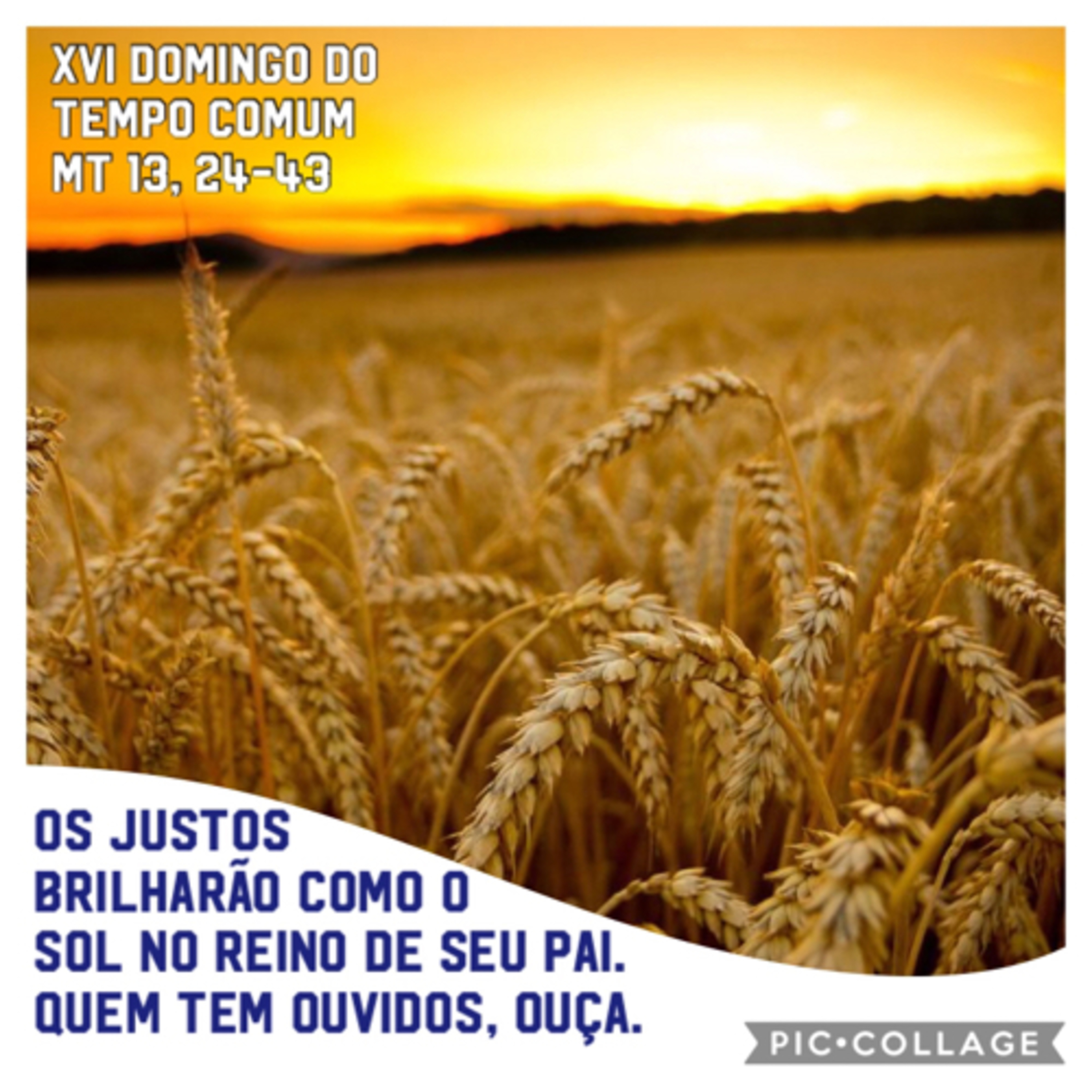 Santo do Dia