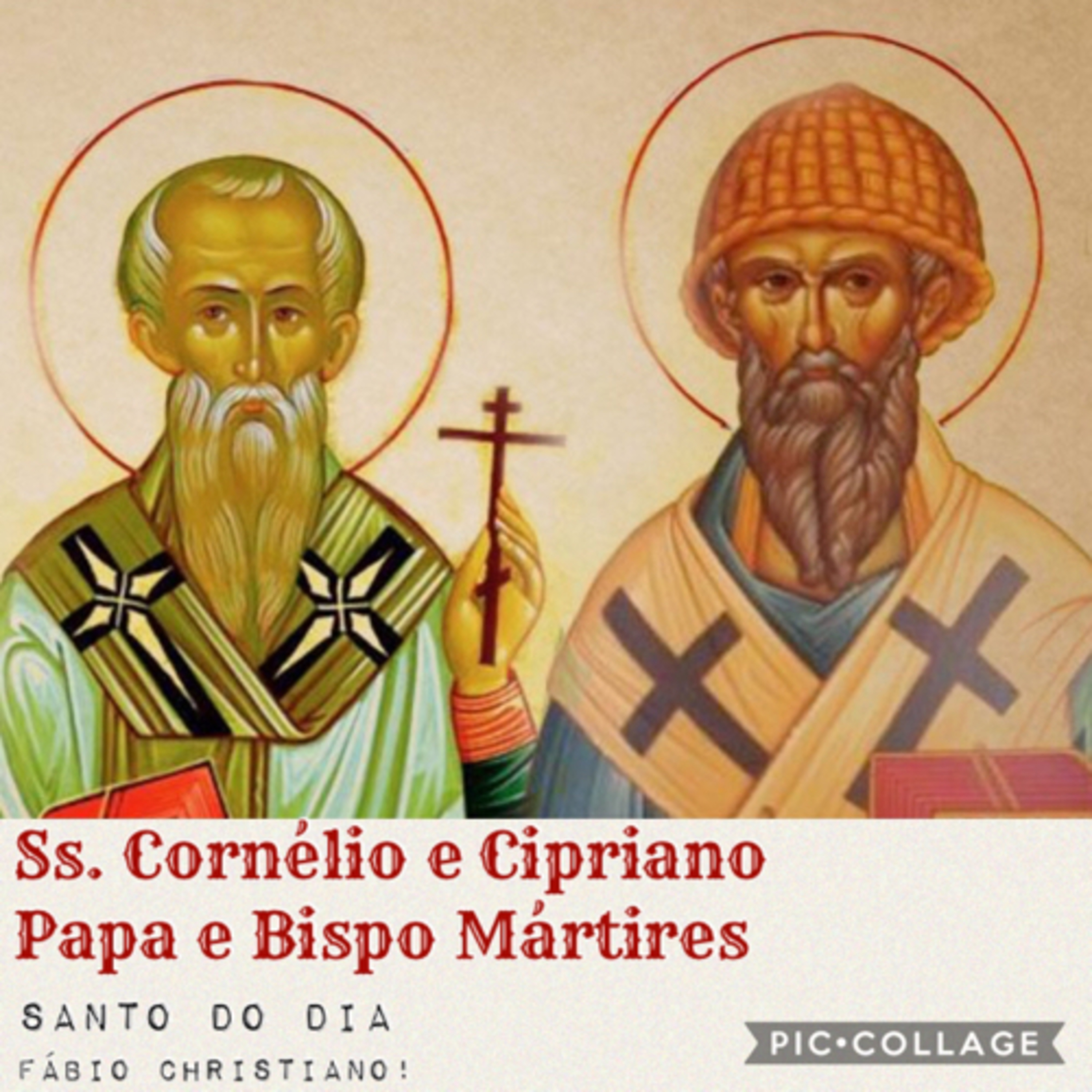 Santo do Dia