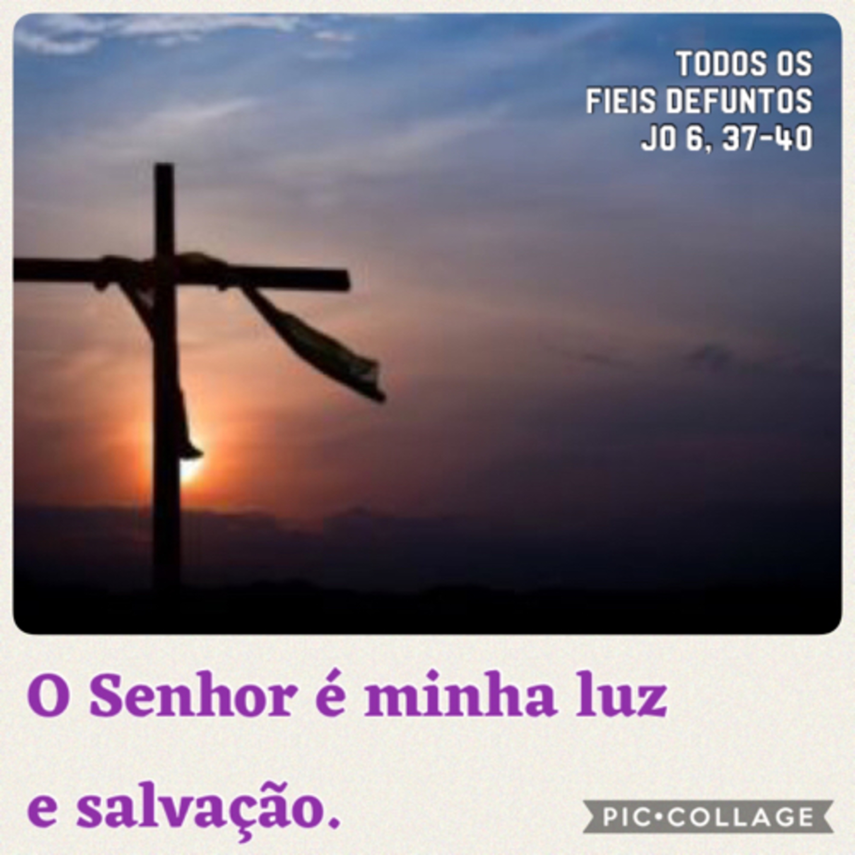 Santo do Dia