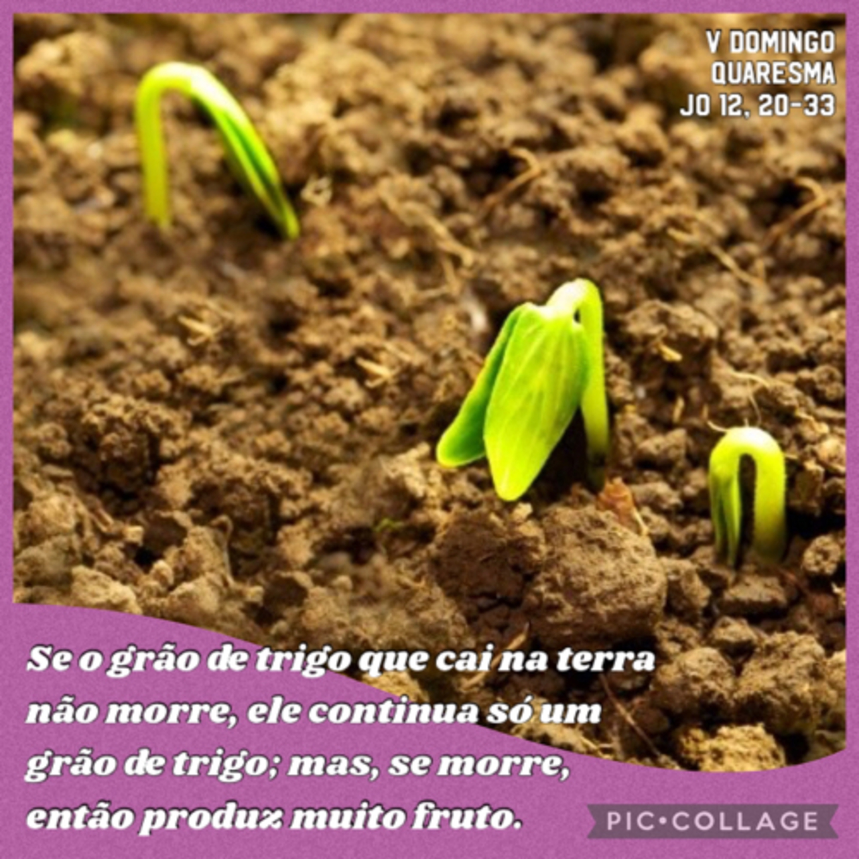 Santo do Dia