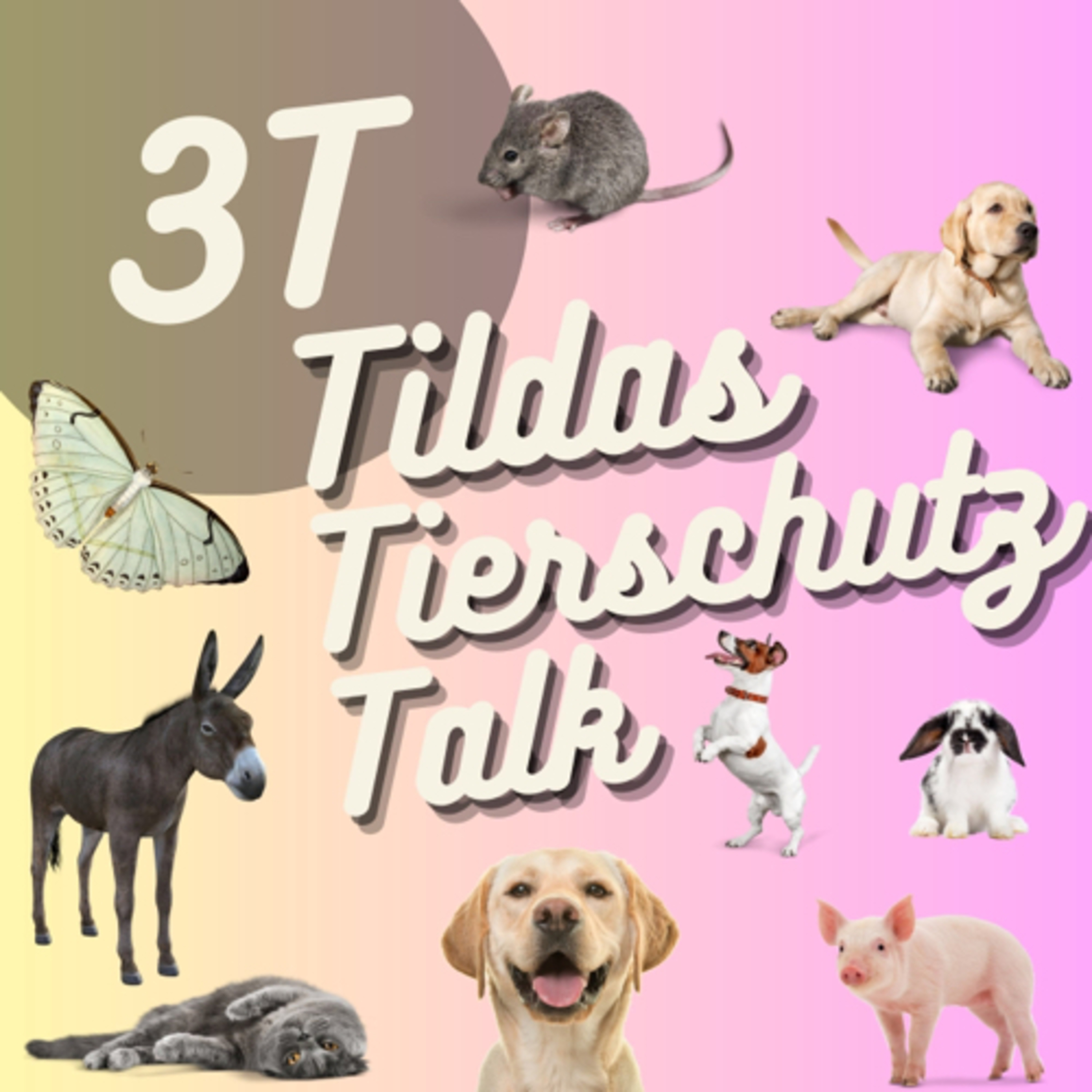 3T - Tildas Tierschutz Talk