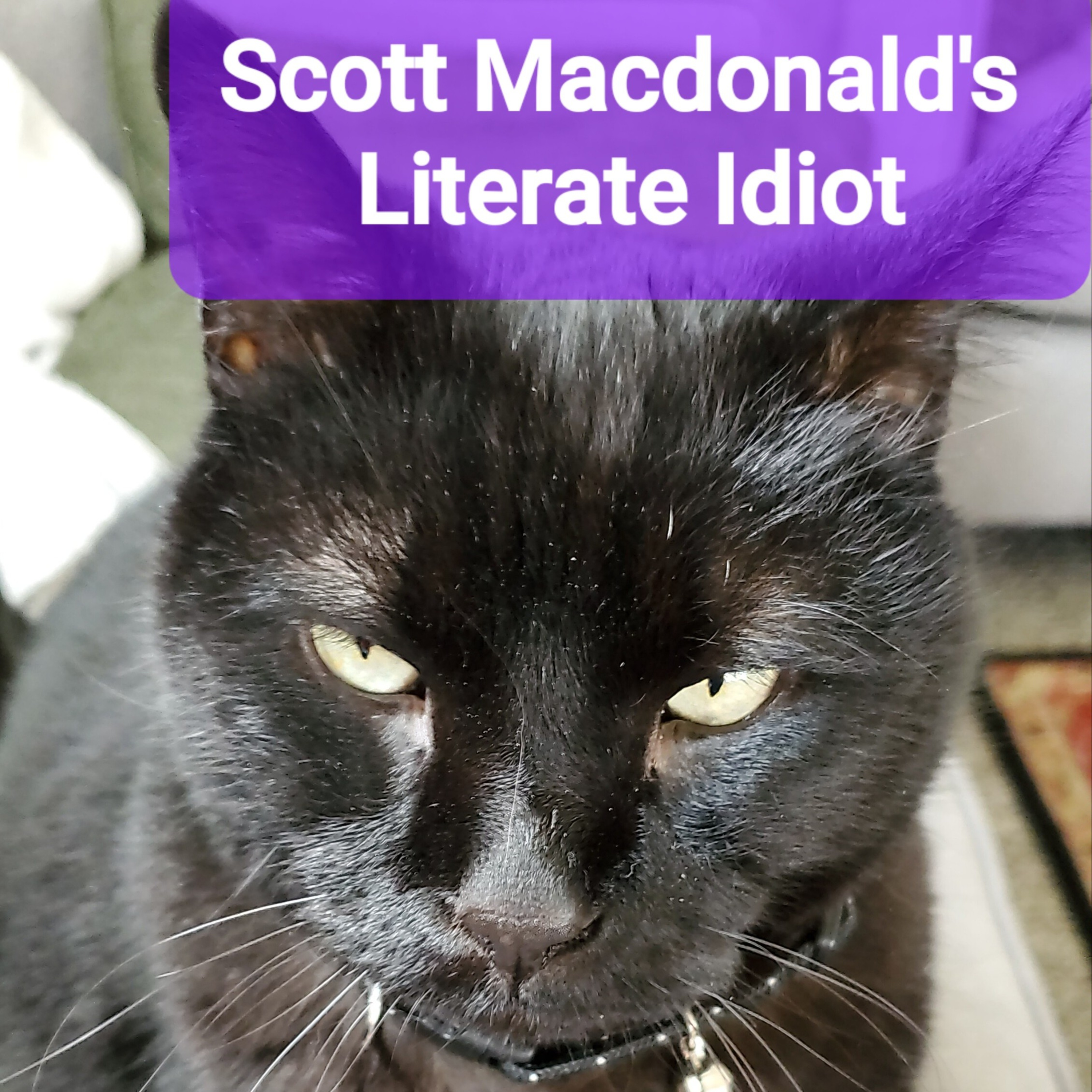 The Literate Idiot! Books In 5 Mins Or Less!