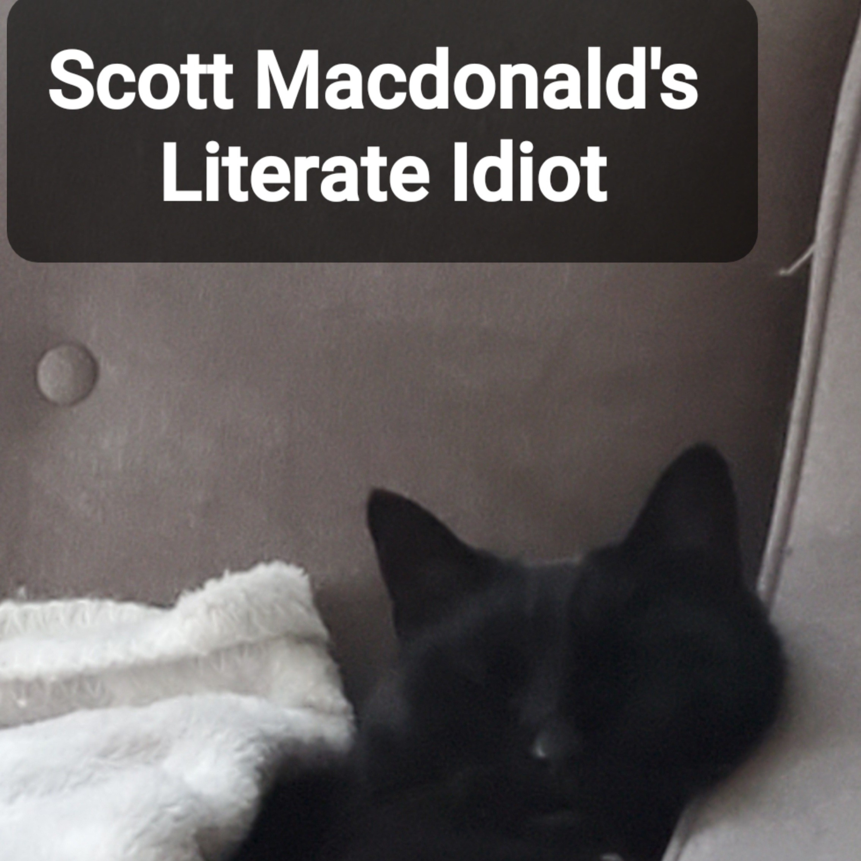 The Literate Idiot! Books In 5 Mins Or Less!