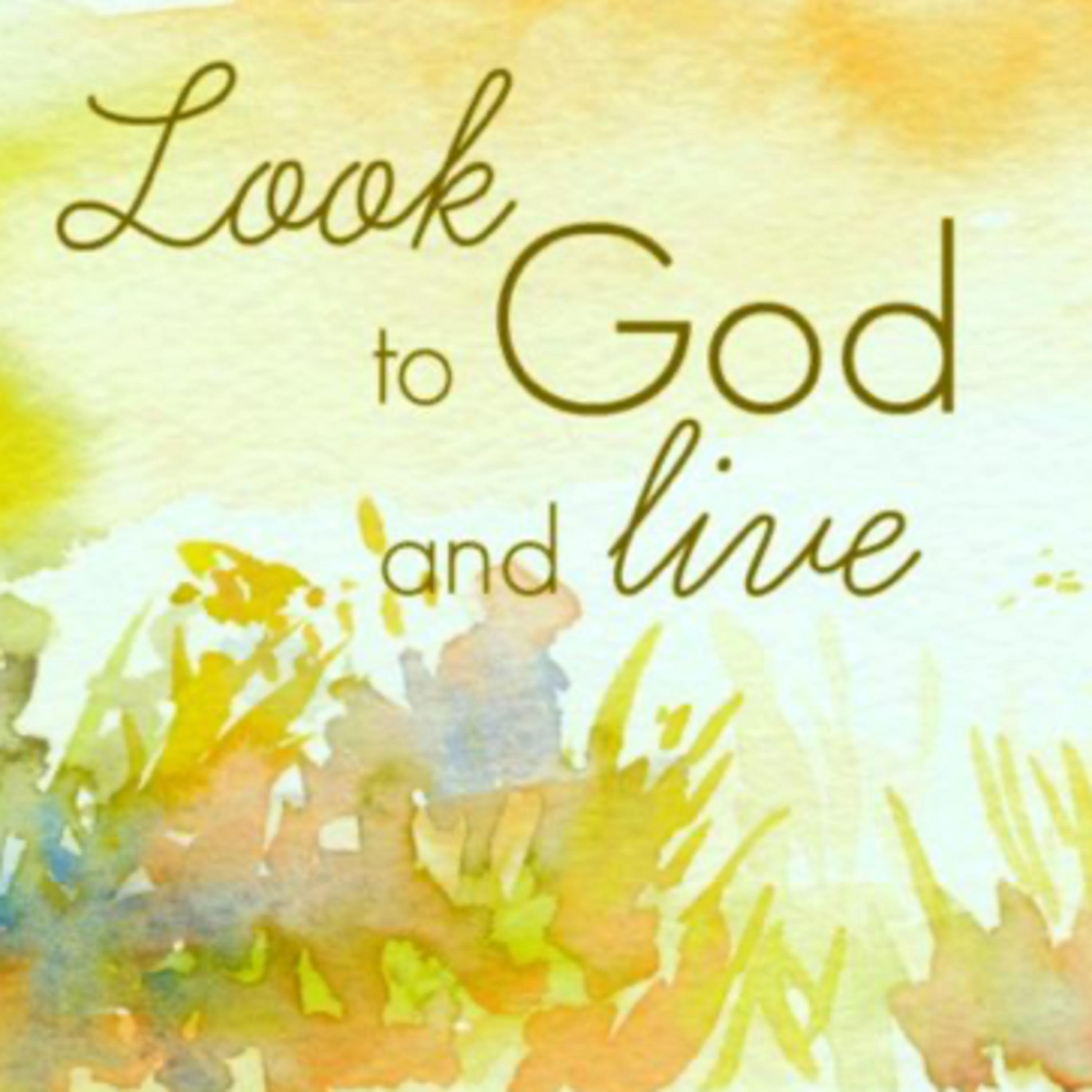 Look and Live | John 3:1-18 episode artwork