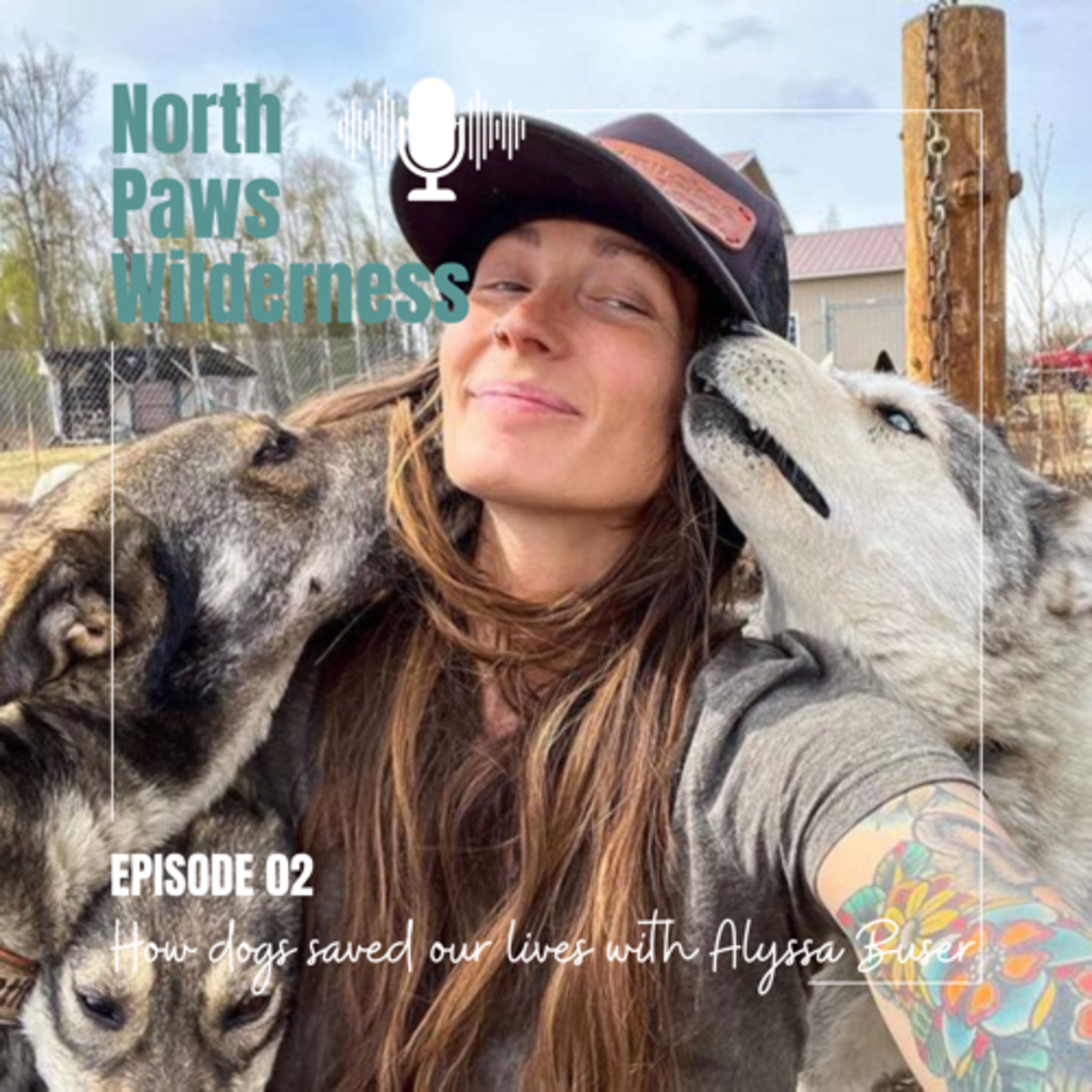 North Paws Wilderness