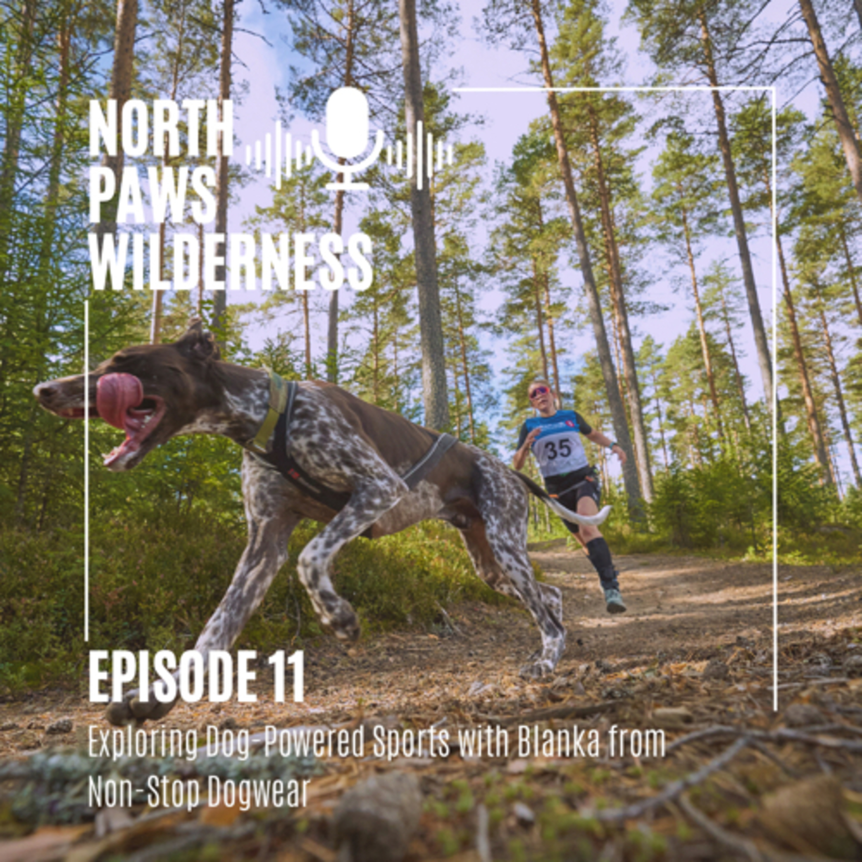 North Paws Wilderness