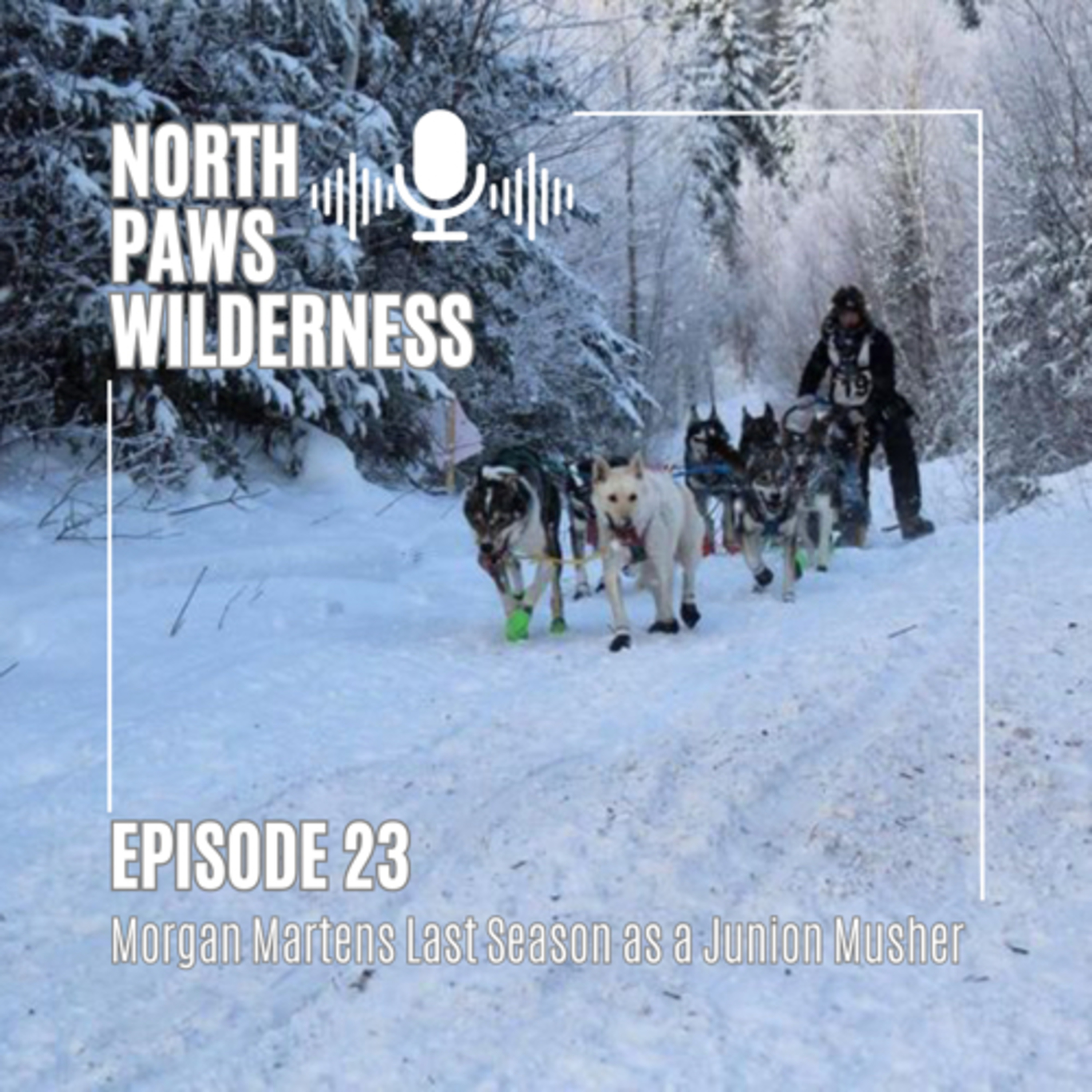 North Paws Wilderness