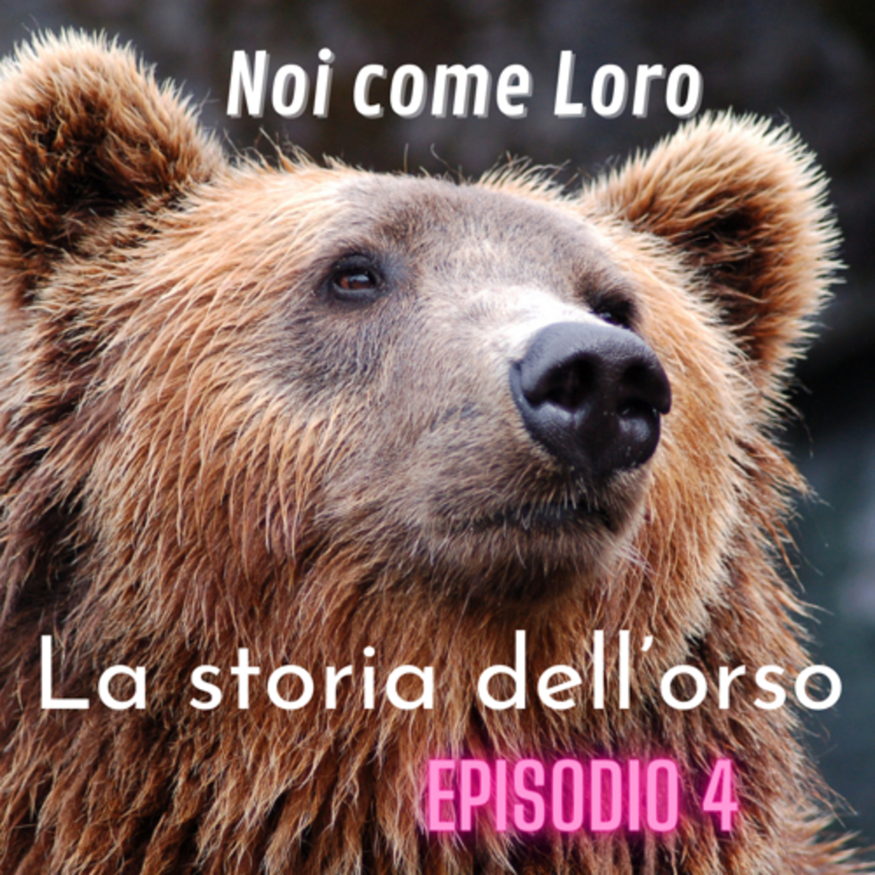 Noi come Loro