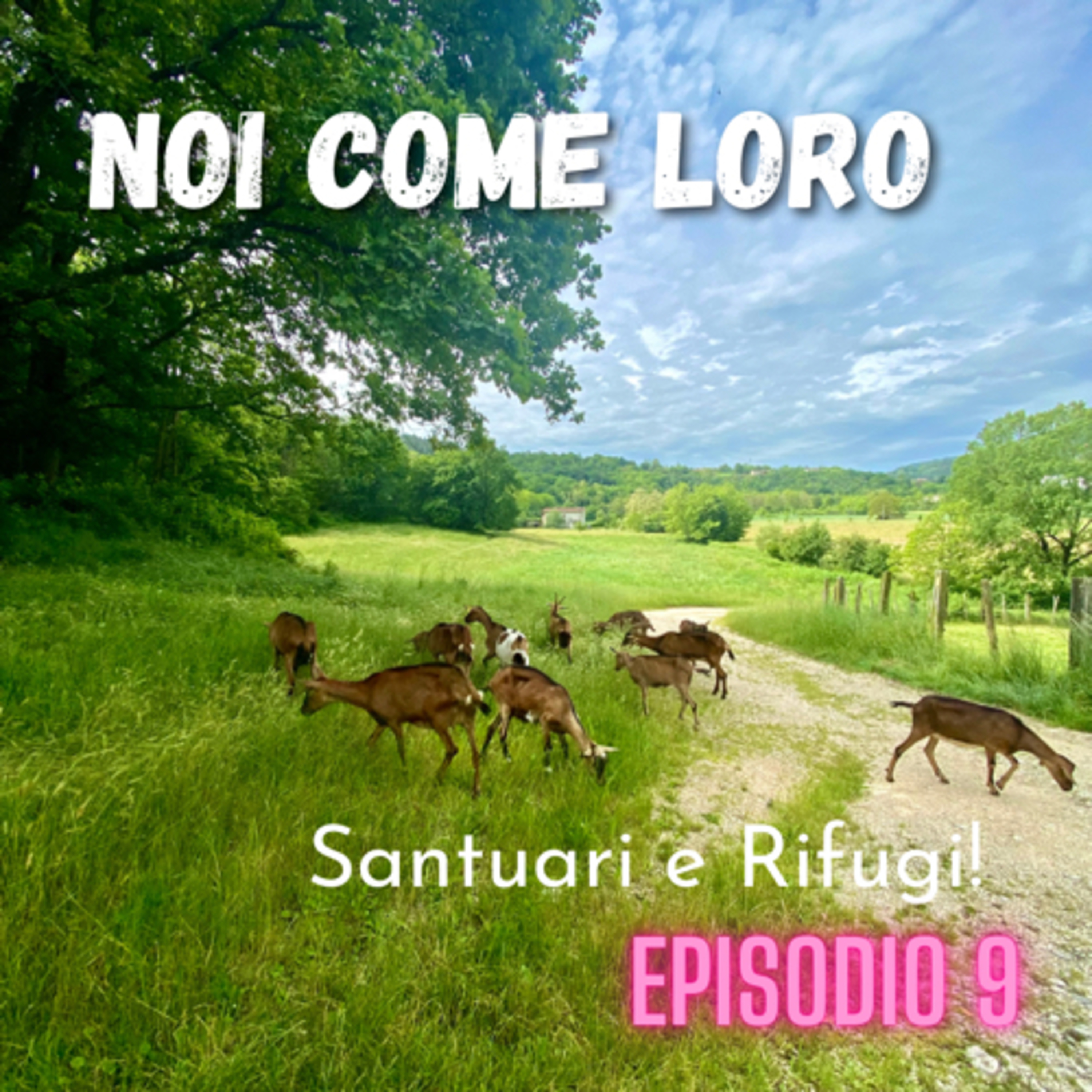 Noi come Loro